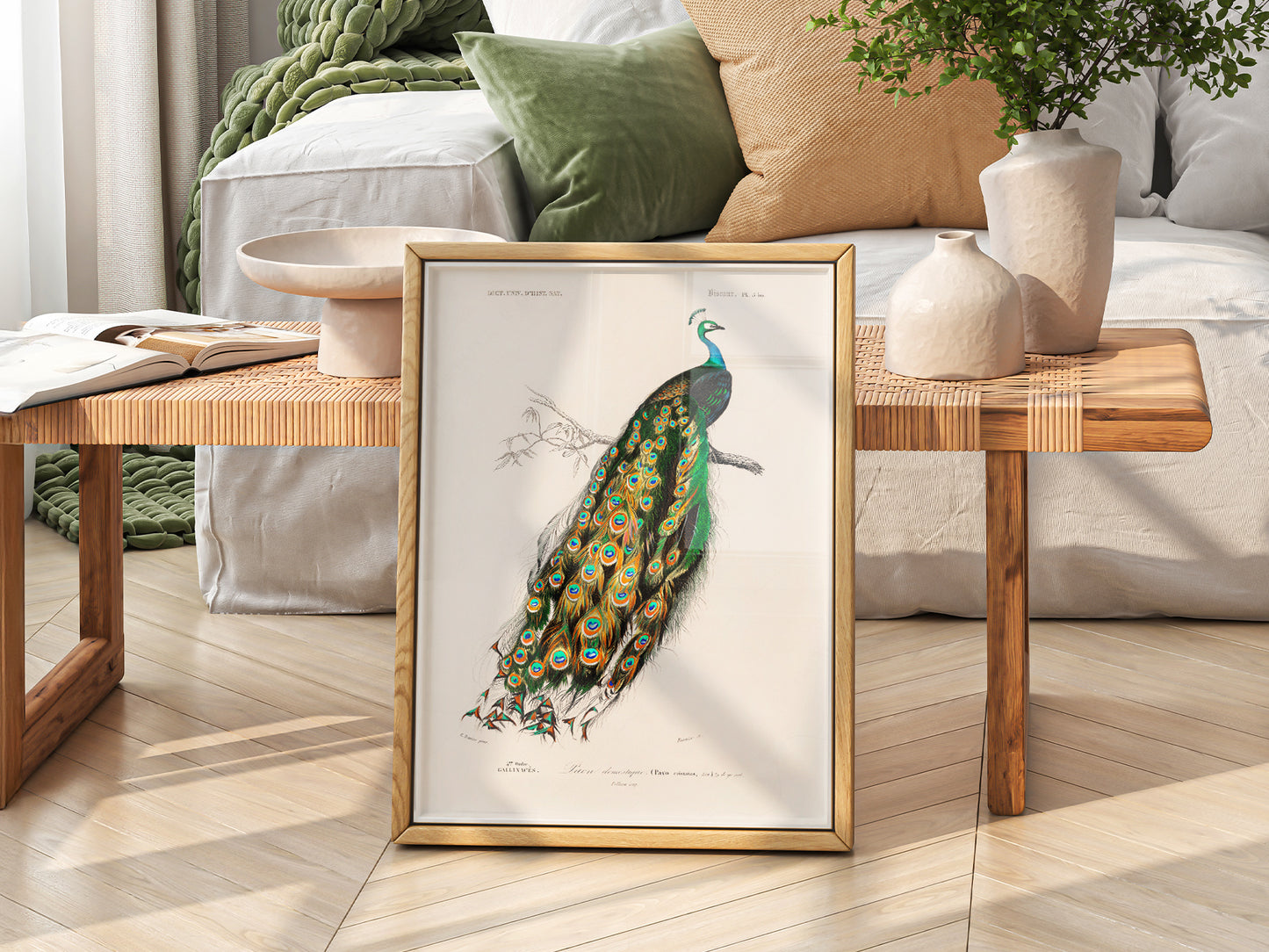 Vintage Peacock Print, Antique Birds Painting