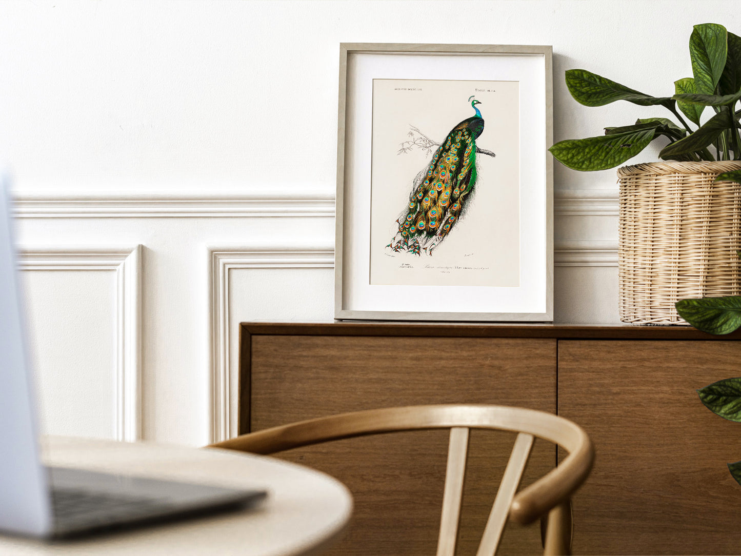 Vintage Peacock Print, Antique Birds Painting