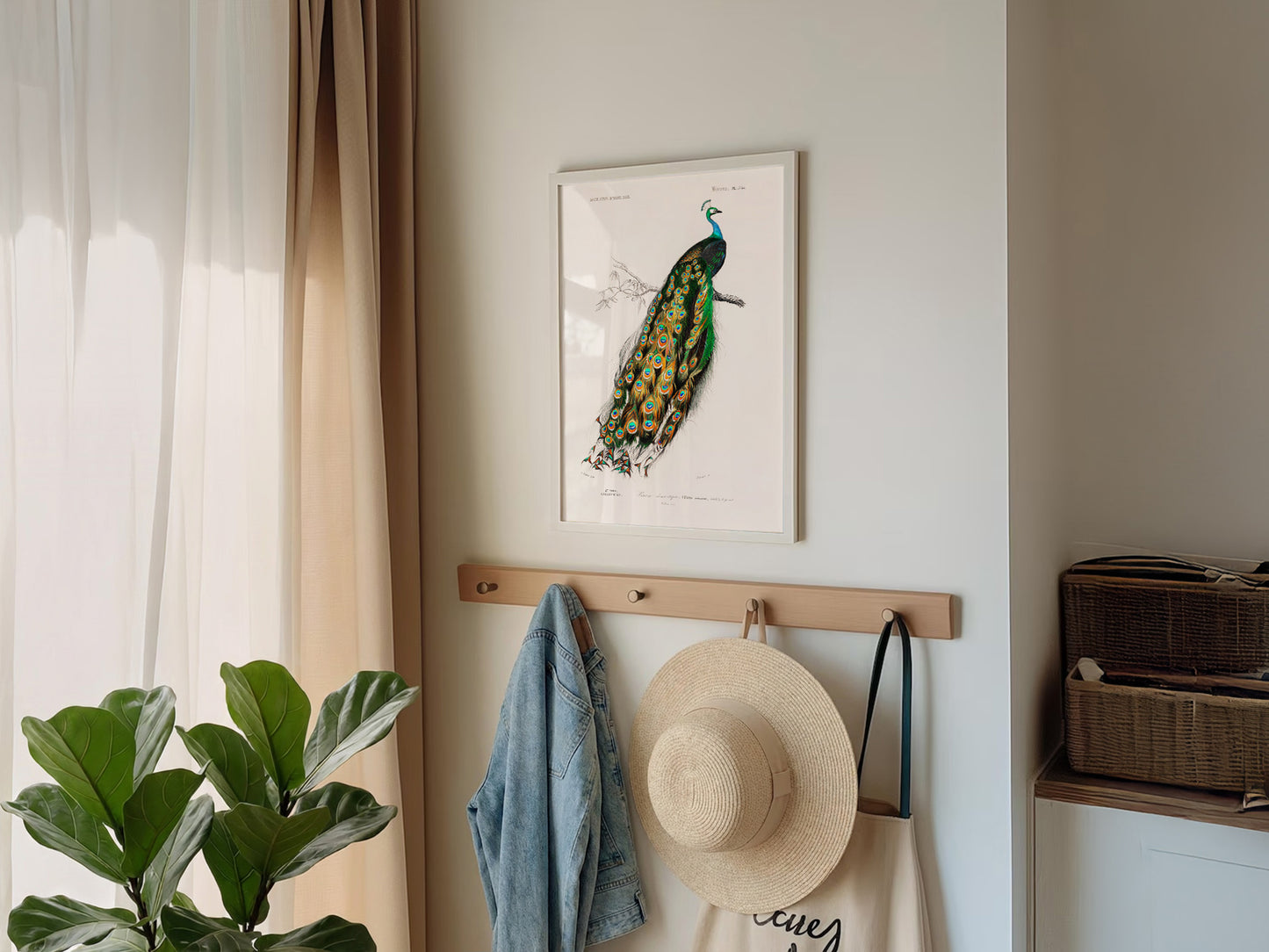 Vintage Peacock Print, Antique Birds Painting