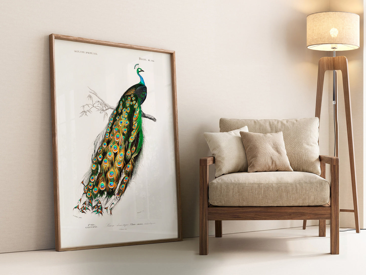 Vintage Peacock Print, Antique Birds Painting