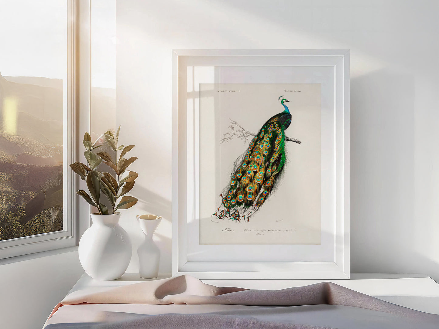 Vintage Peacock Print, Antique Birds Painting