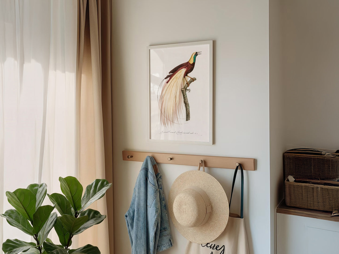 Emperor bird-of-paradise, Bird Art Print