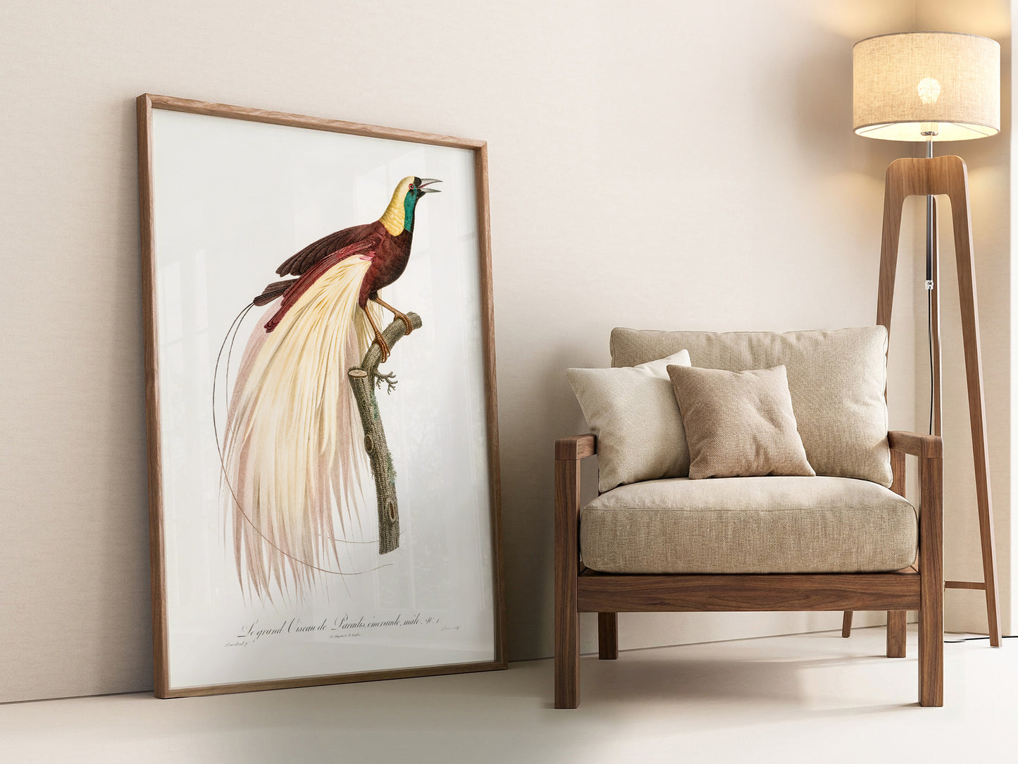 Emperor bird-of-paradise, Bird Art Print