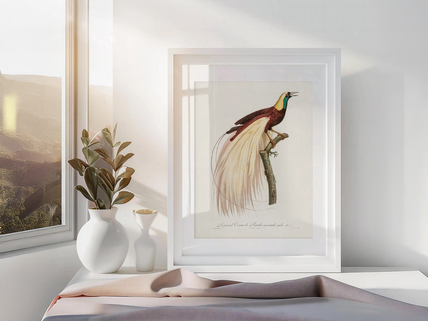 Emperor bird-of-paradise, Bird Art Print