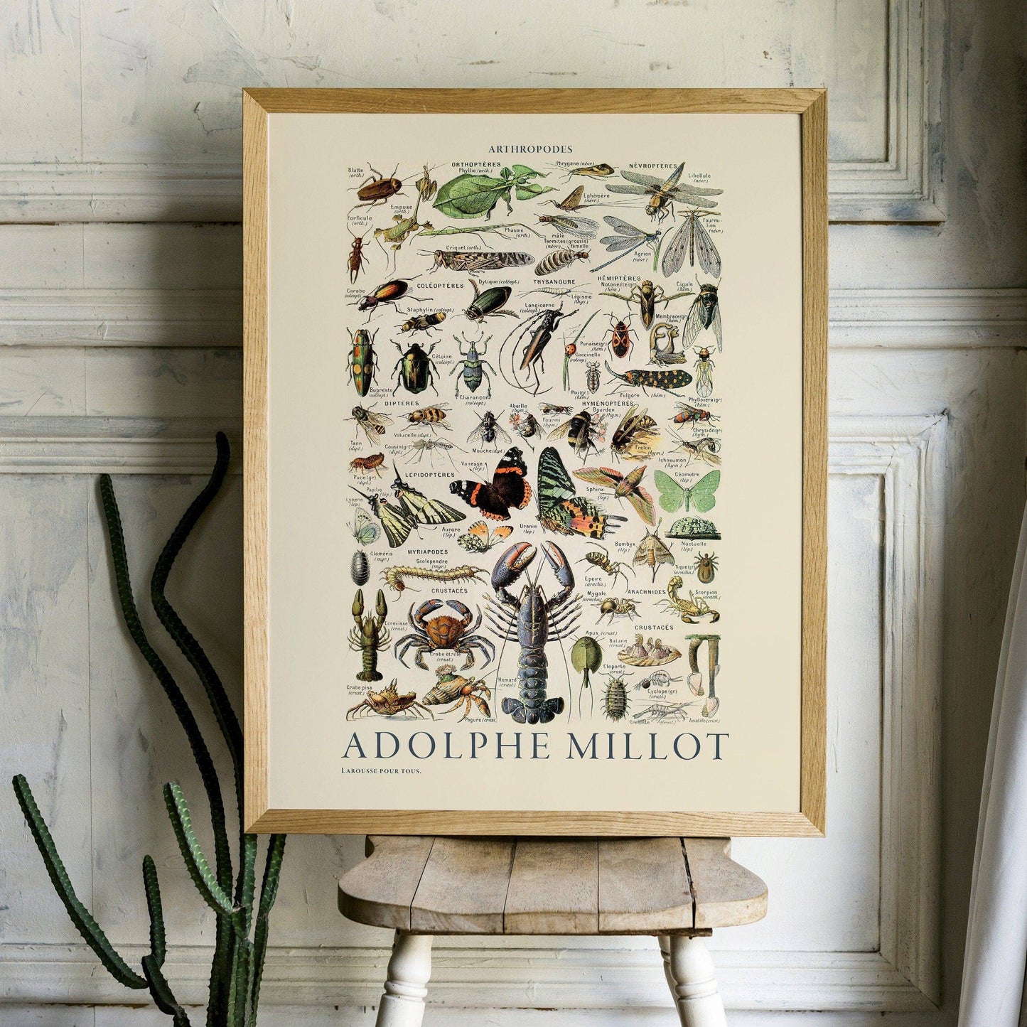 Adolphe Millot Poster, Insects crustaceans, Vintage Illustration