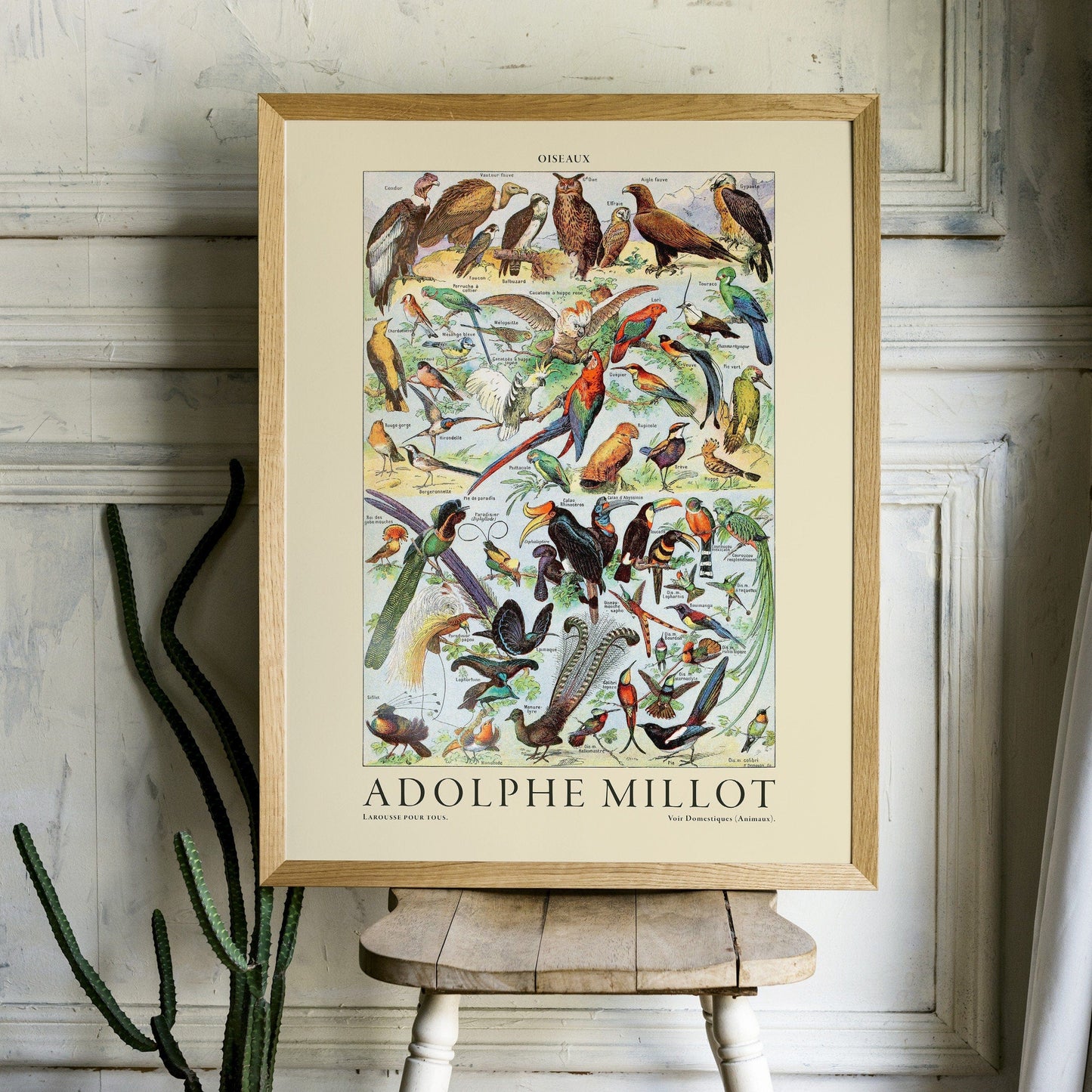 Adolphe Millot Poster, Vintage Birds Illustration Prints