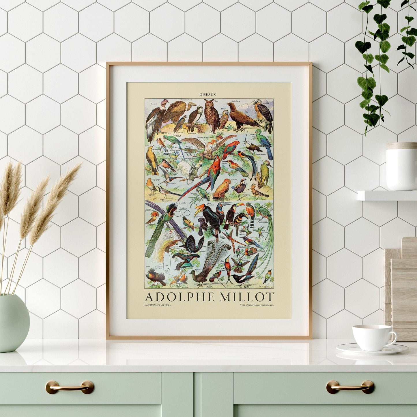 Adolphe Millot Poster, Vintage Birds Illustration Prints