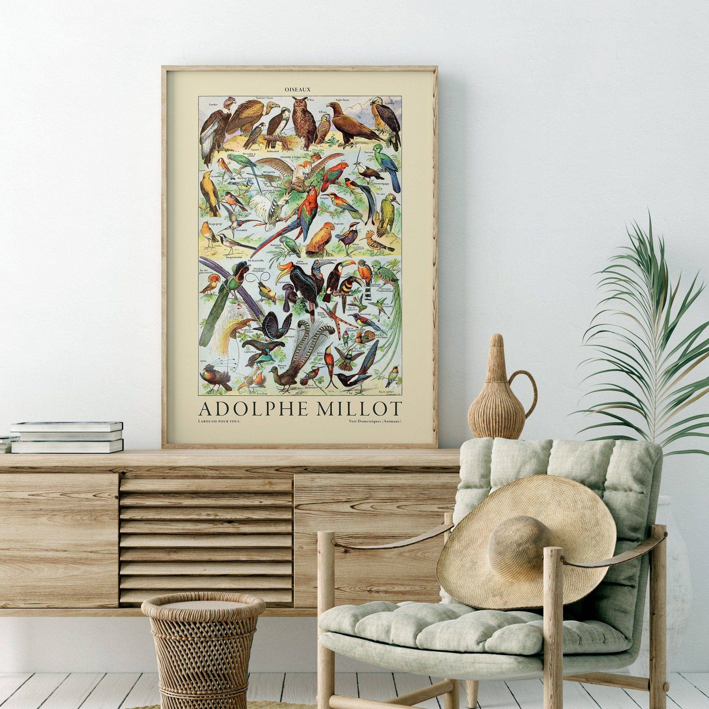 Adolphe Millot Poster, Vintage Birds Illustration Prints