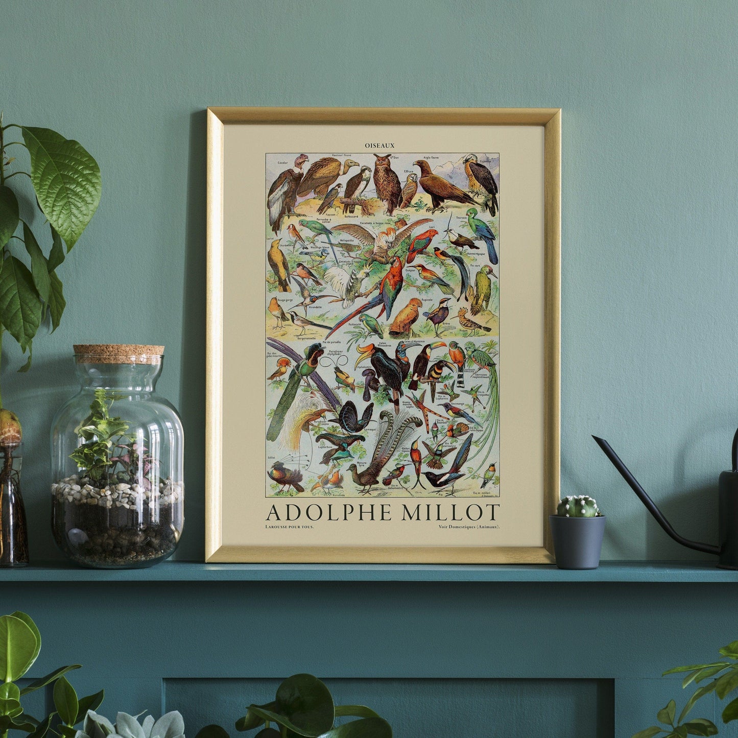 Adolphe Millot Poster, Vintage Birds Illustration Prints