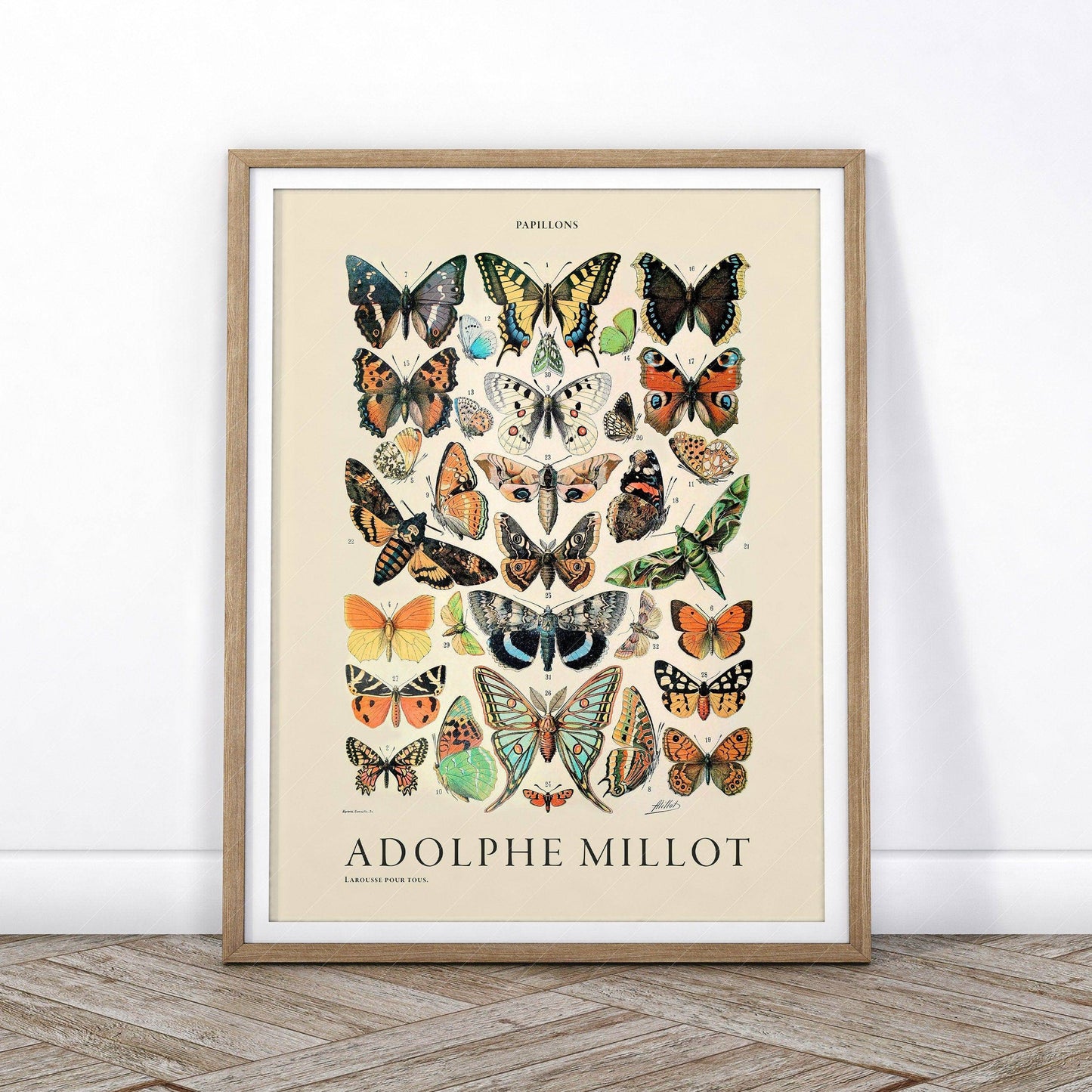 Adolphe Millot Poster, Vintage Butterfly Print