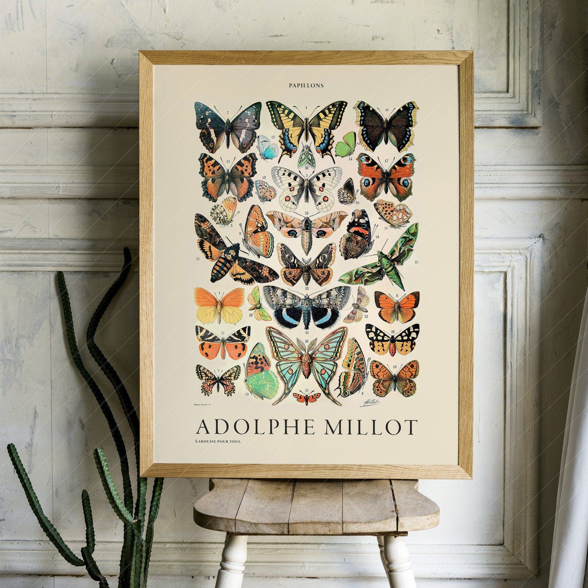 Adolphe Millot Poster, Vintage Butterfly Print