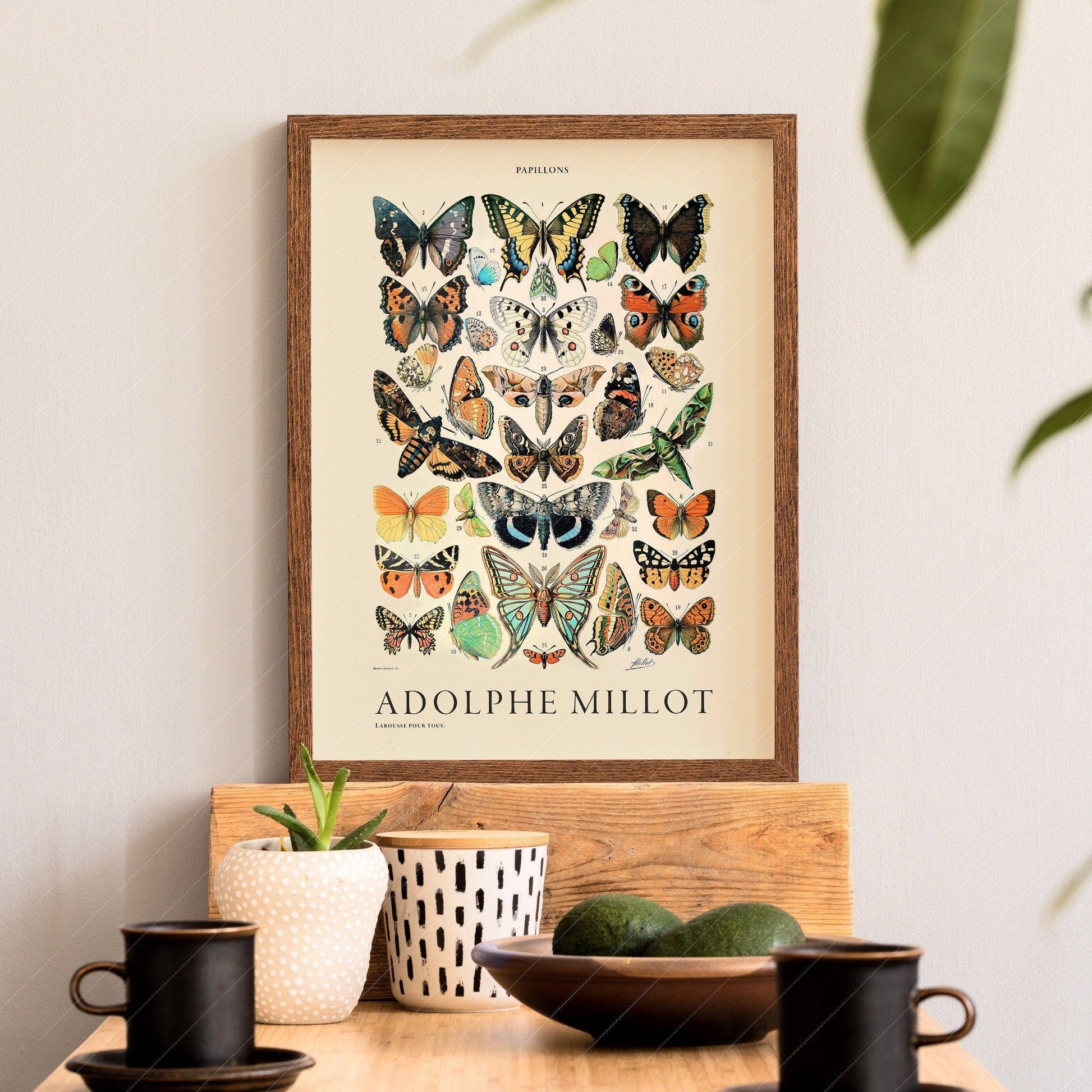 Adolphe Millot Poster, Vintage Butterfly Print