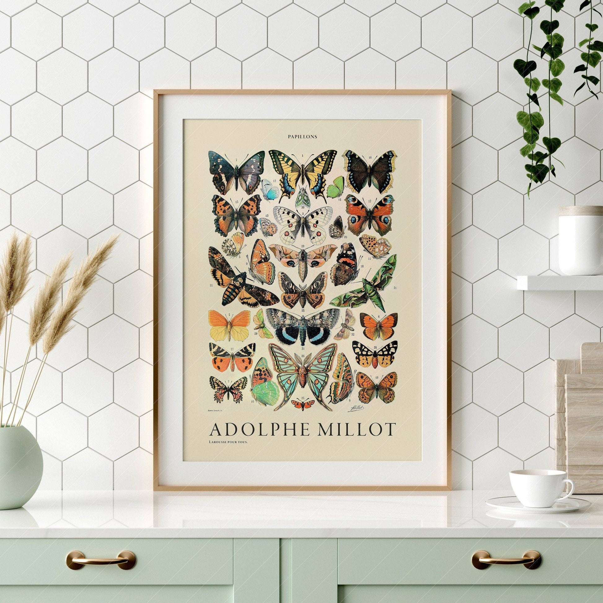 Adolphe Millot Poster, Vintage Butterfly Print