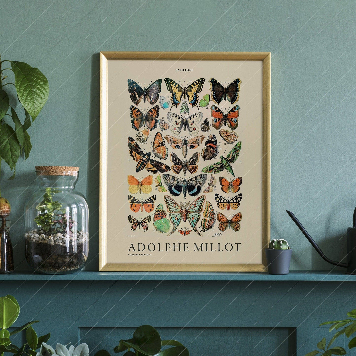 Adolphe Millot Poster, Vintage Butterfly Print