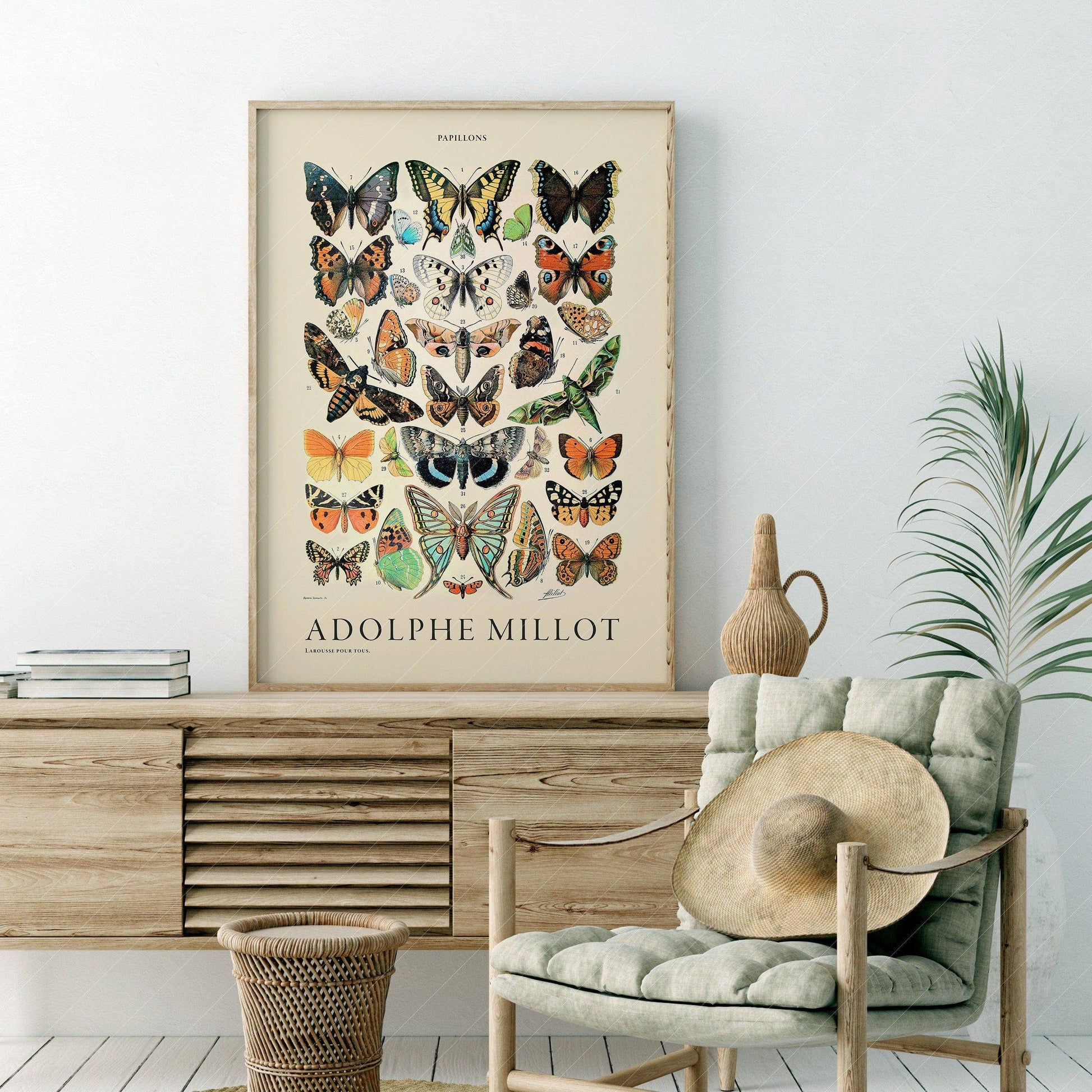 Adolphe Millot Poster, Vintage Butterfly Print