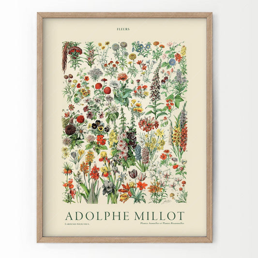 Adolphe Millot Poster, Vintage Floral Illustration Prints