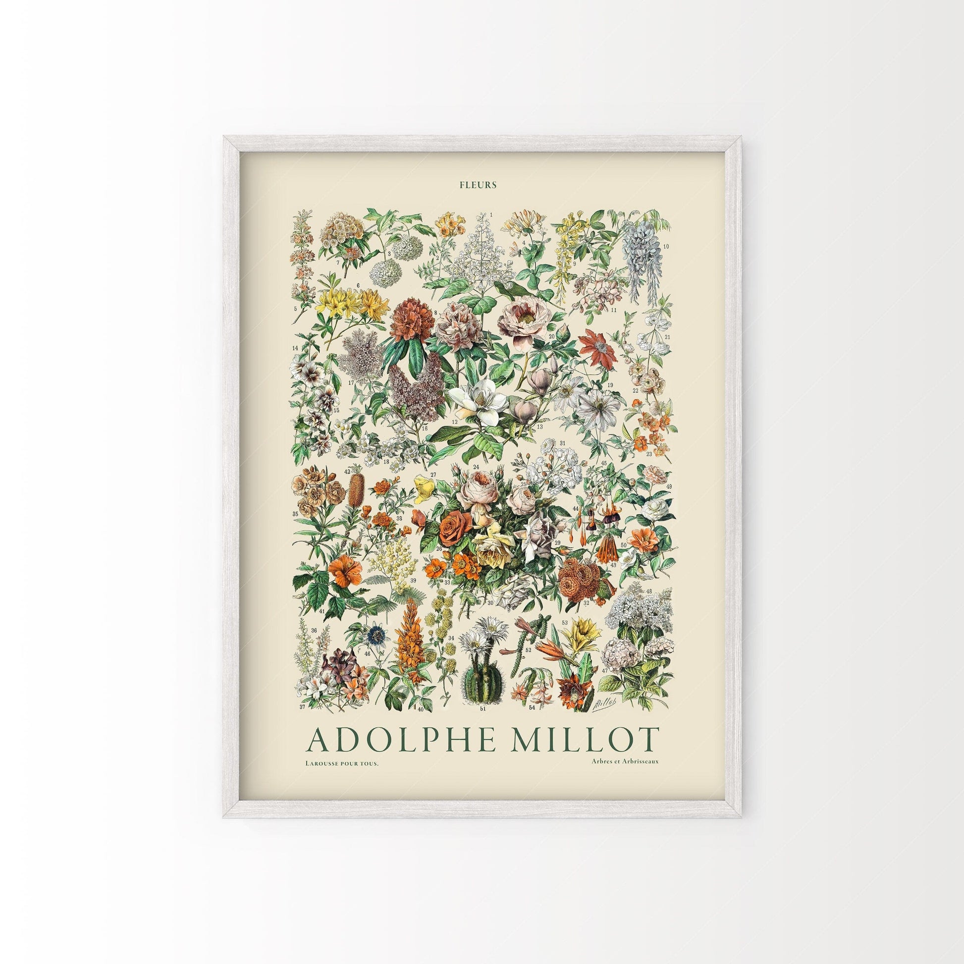 Adolphe Millot Poster, Vintage Flowers Illustration Print