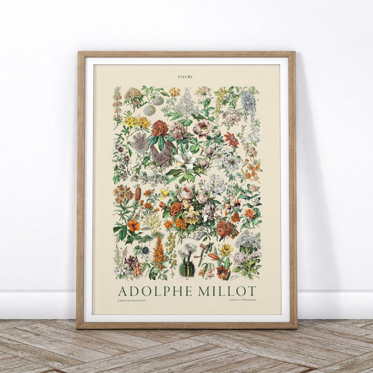 Adolphe Millot Poster, Vintage Flowers Illustration Print