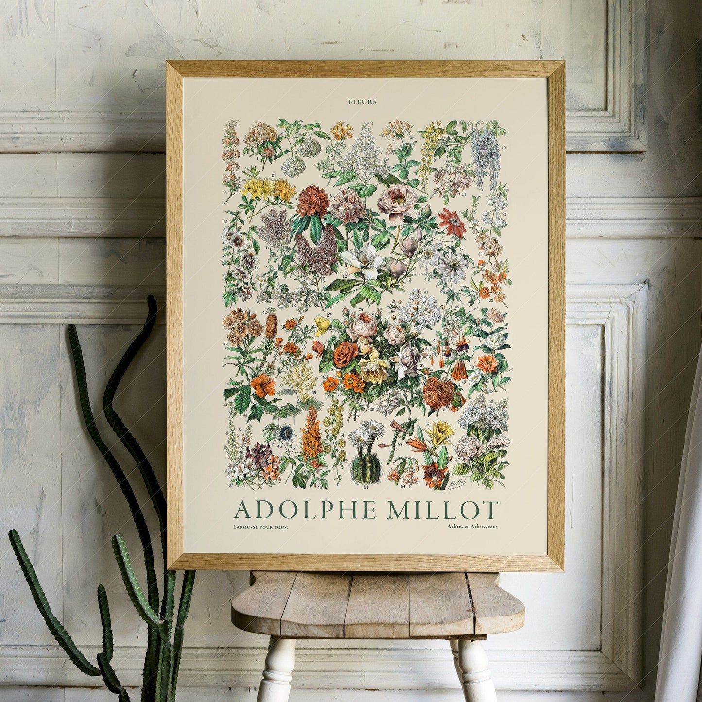 Adolphe Millot Poster, Vintage Flowers Illustration Print