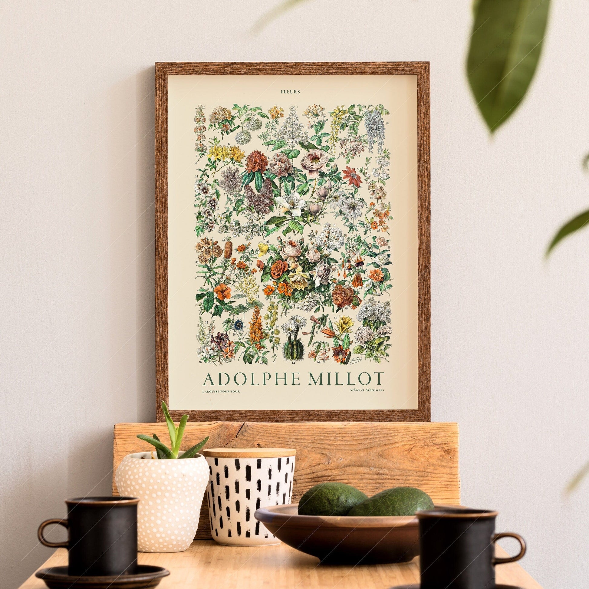 Adolphe Millot Poster, Vintage Flowers Illustration Print