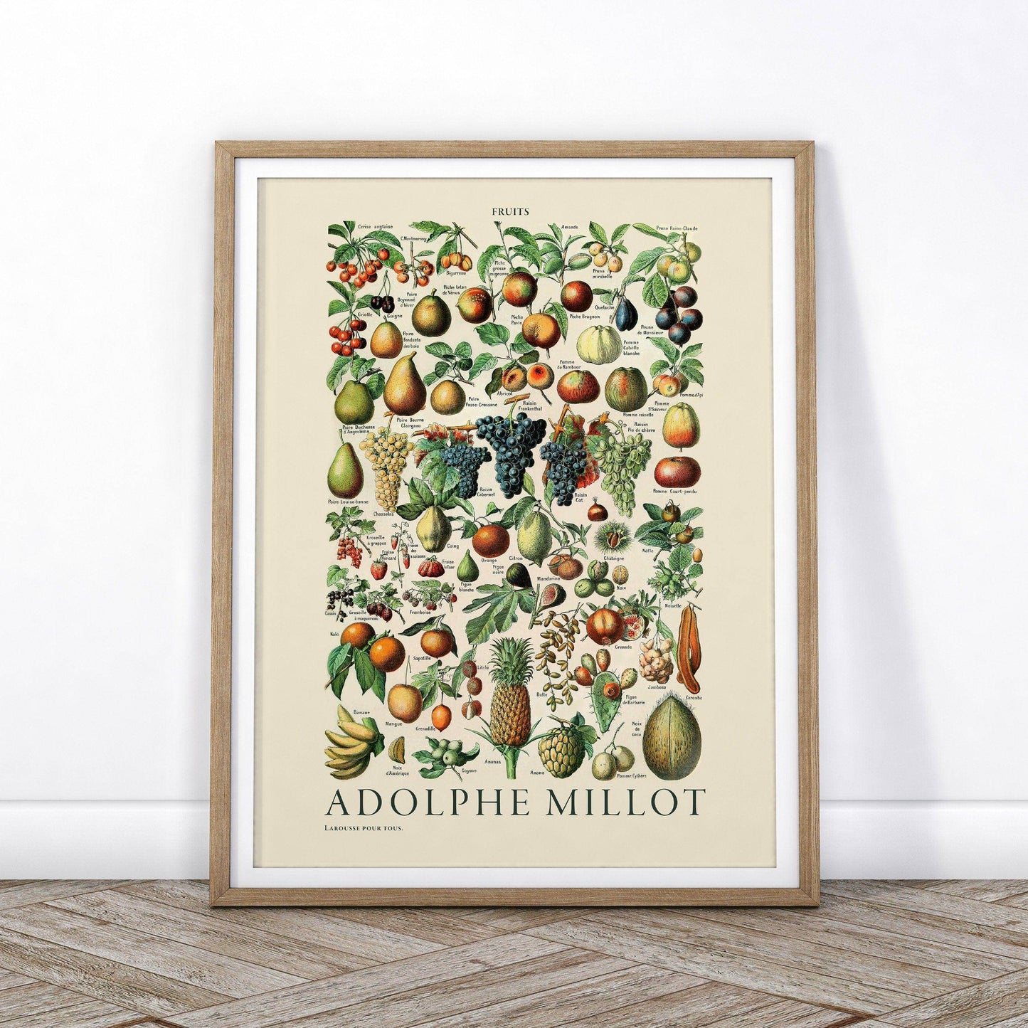 Adolphe Millot Poster, Vintage Fruits Illustration Prints