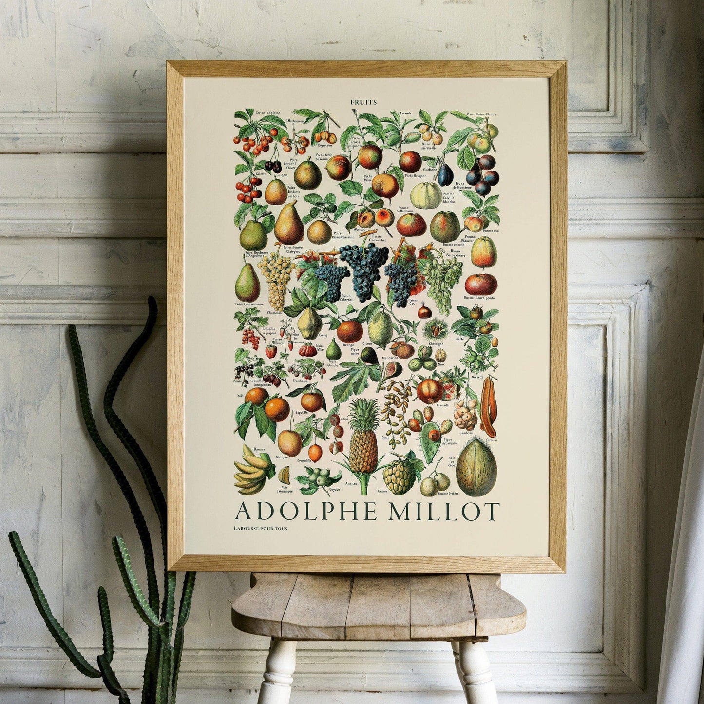 Adolphe Millot Poster, Vintage Fruits Illustration Prints