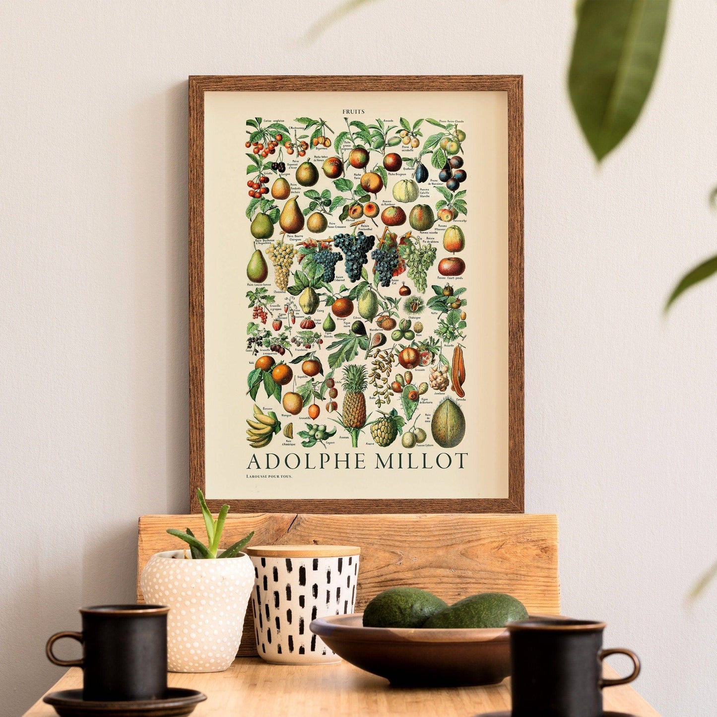 Adolphe Millot Poster, Vintage Fruits Illustration Prints