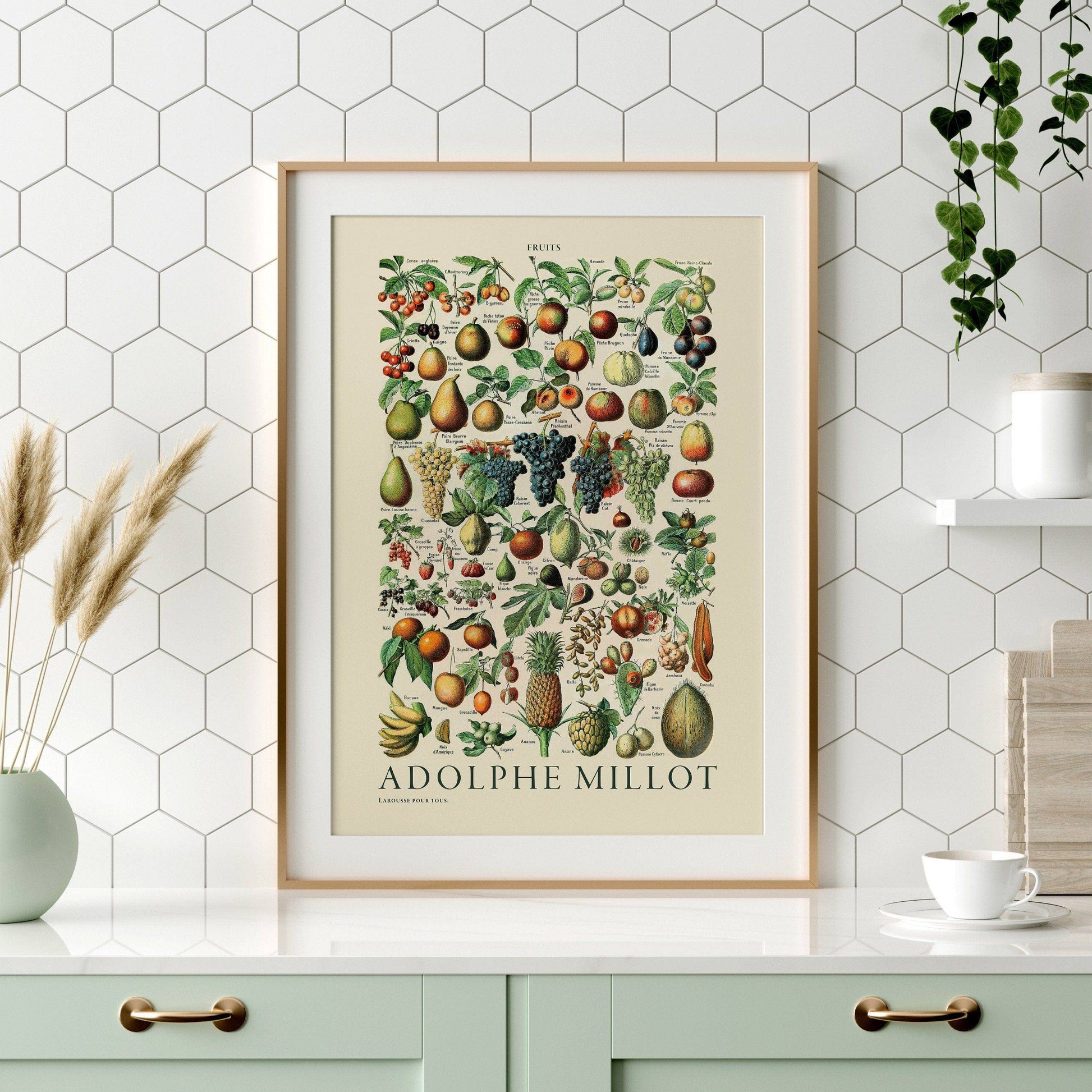 Adolphe Millot Poster, Vintage Fruits Illustration Prints