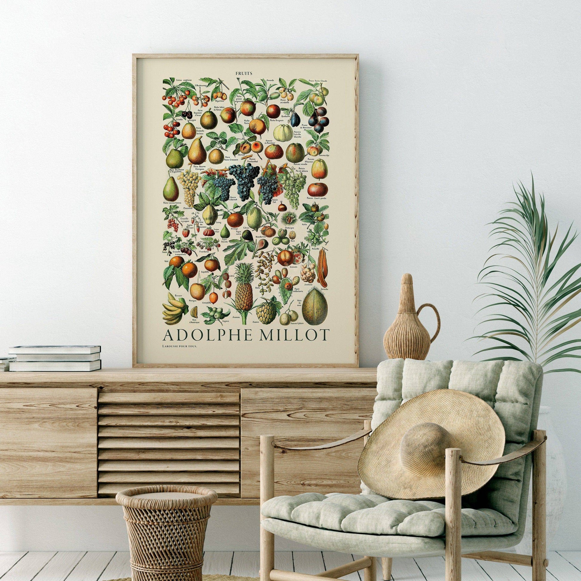 Adolphe Millot Poster, Vintage Fruits Illustration Prints