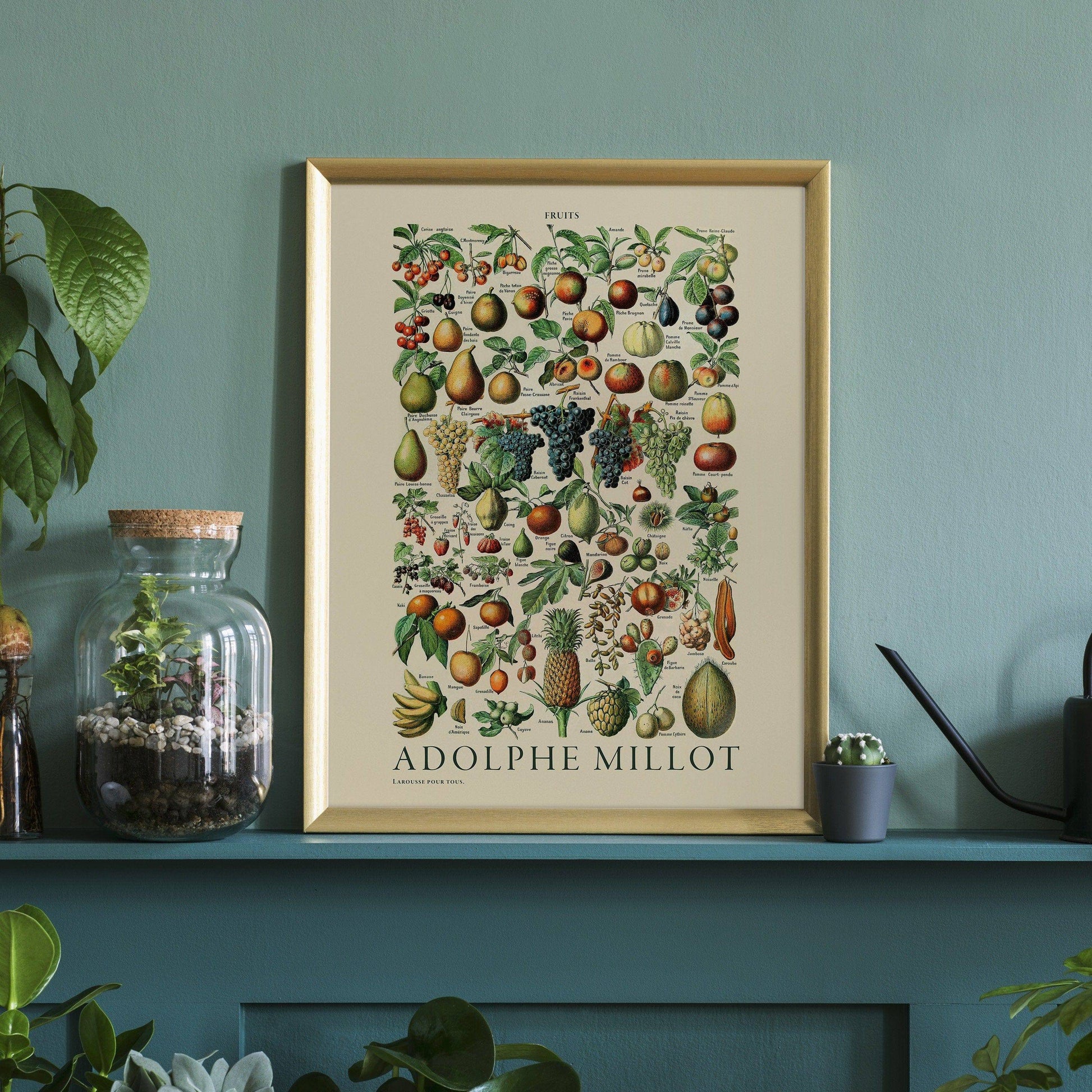 Adolphe Millot Poster, Vintage Fruits Illustration Prints