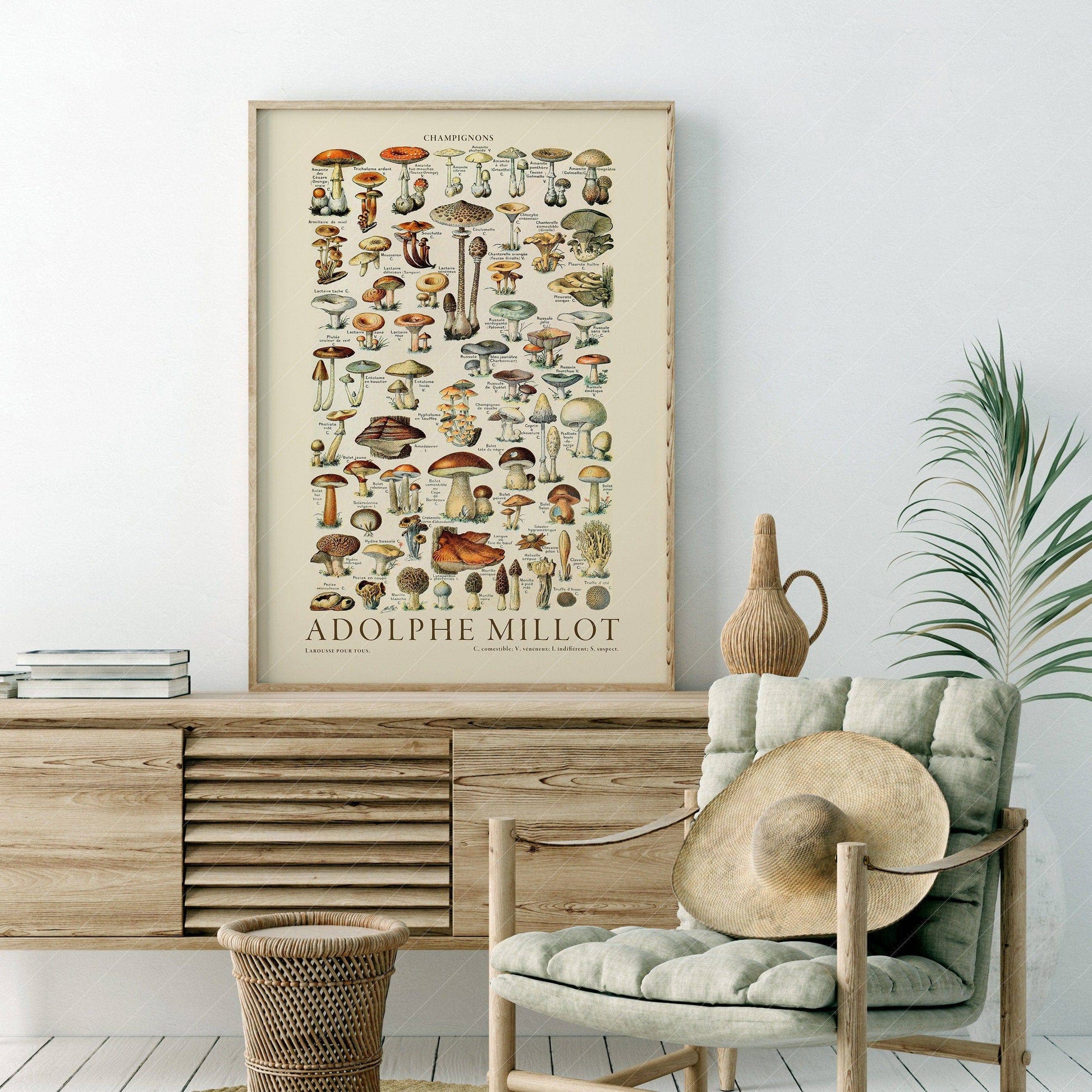 Adolphe Millot Poster, Vintage Mushrooms Champignons Print