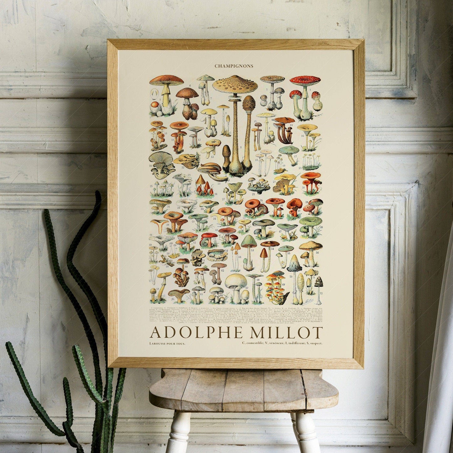 Adolphe Millot Poster, Vintage Mushrooms Illustration Prints