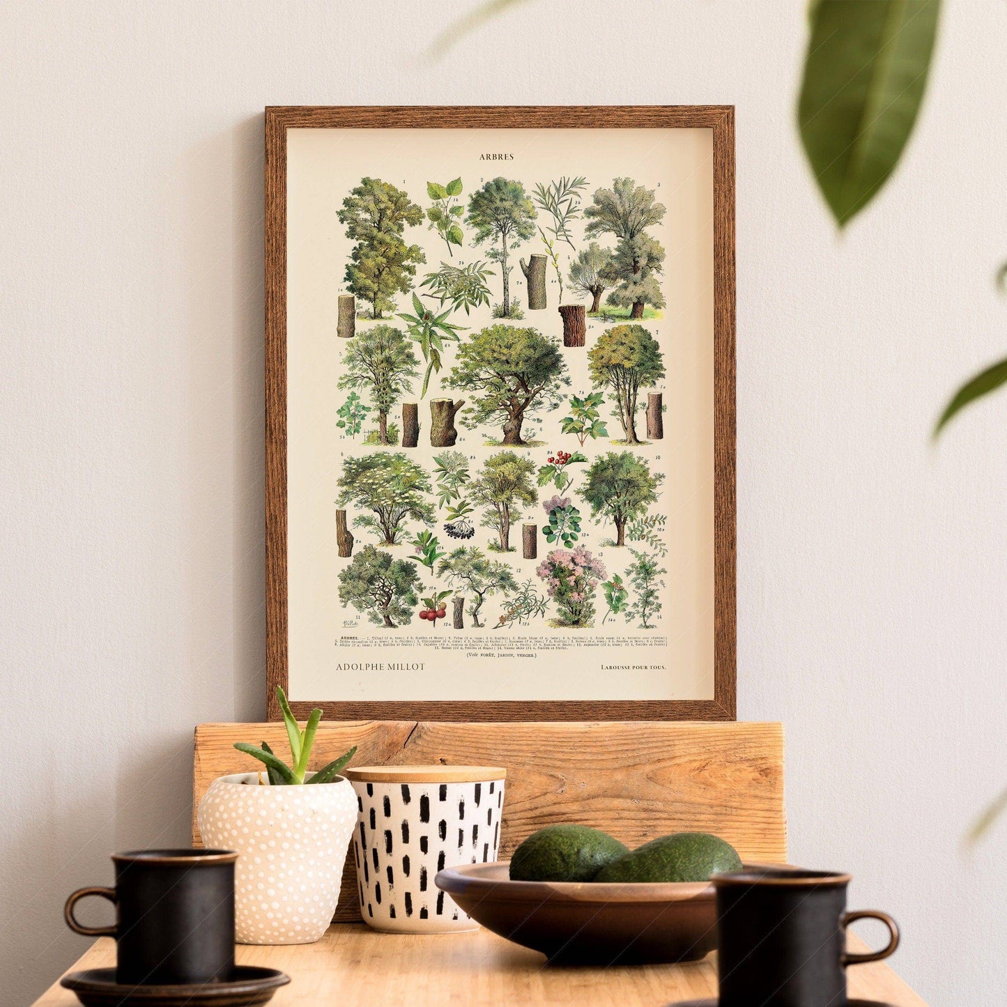 Adolphe Millot Poster, Vintage Trees Illustration Print