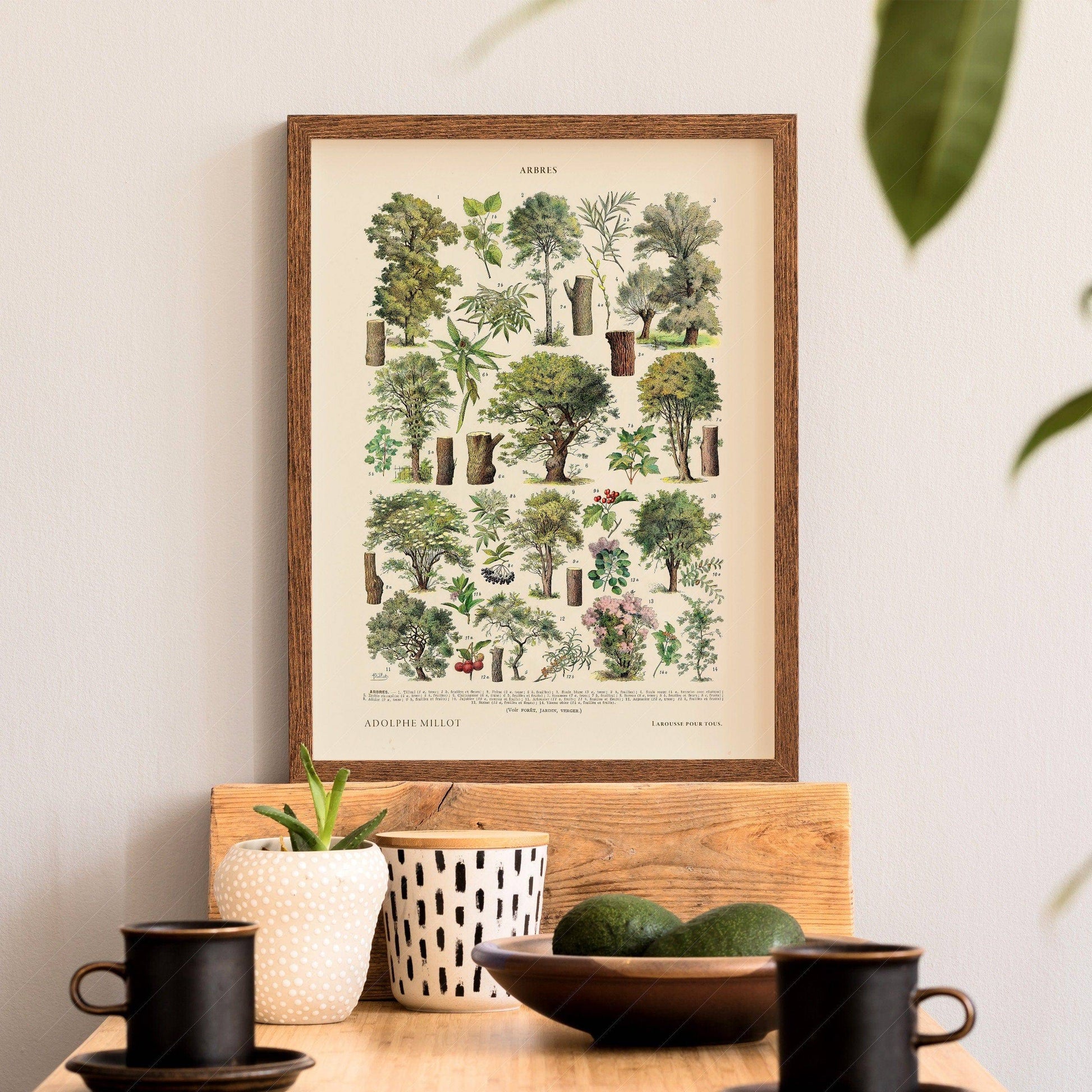 Adolphe Millot Poster, Vintage Trees Illustration Print