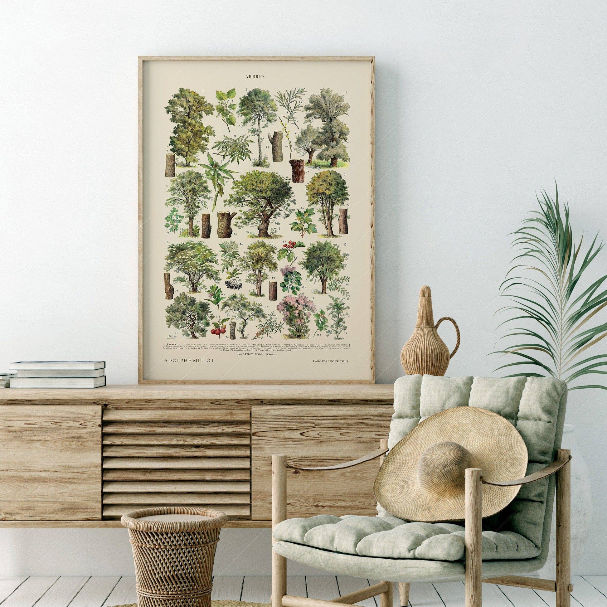 Adolphe Millot Poster, Vintage Trees Illustration Print
