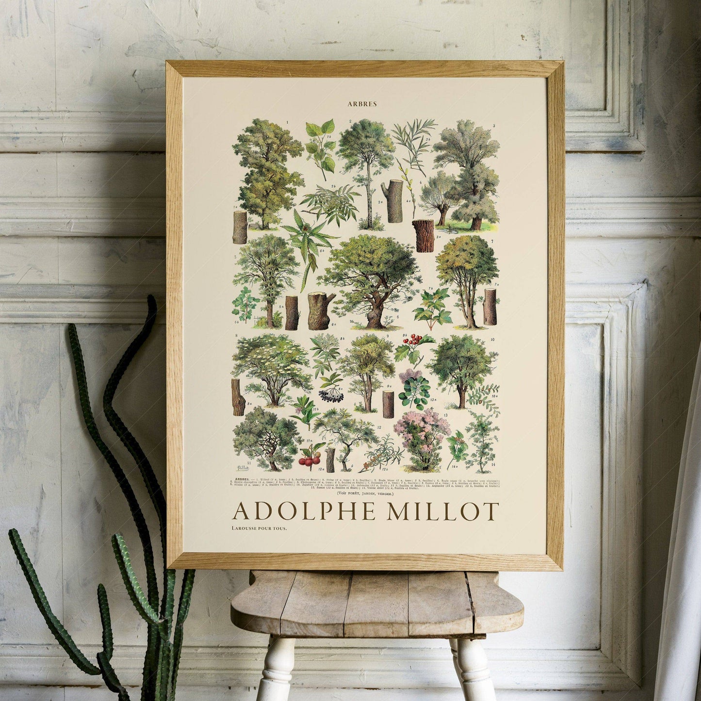 Adolphe Millot Poster, Vintage Trees Print