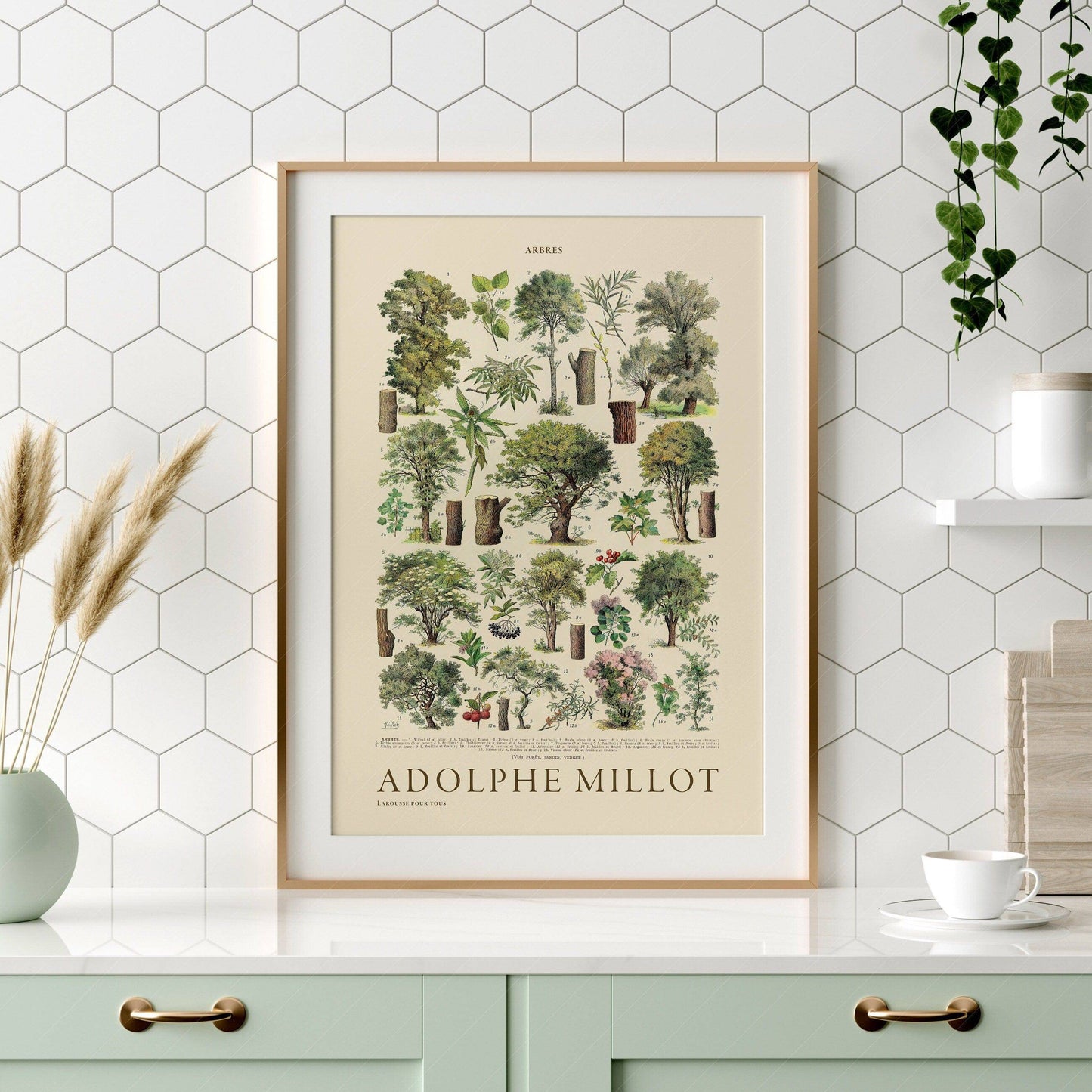 Adolphe Millot Poster, Vintage Trees Print