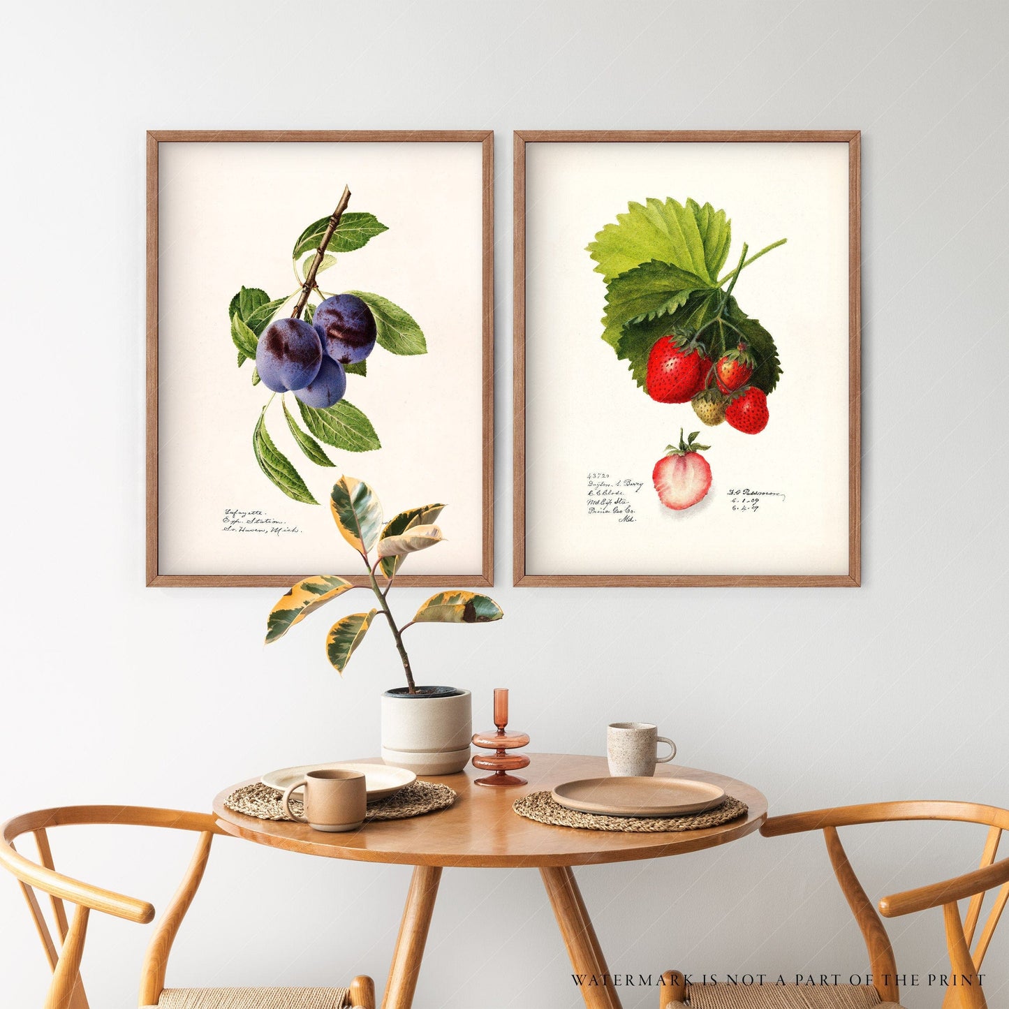 Antique fruits print, Strawberry and Blueberry, Kitchen Wall Decor, Set of 2