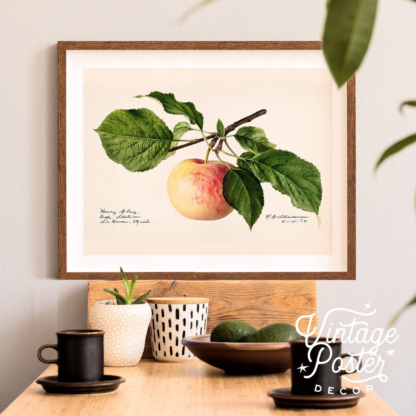 Apple Fruit Print, Vintage Apple Poster, Botanical Fruit, Kitchen Wall Art