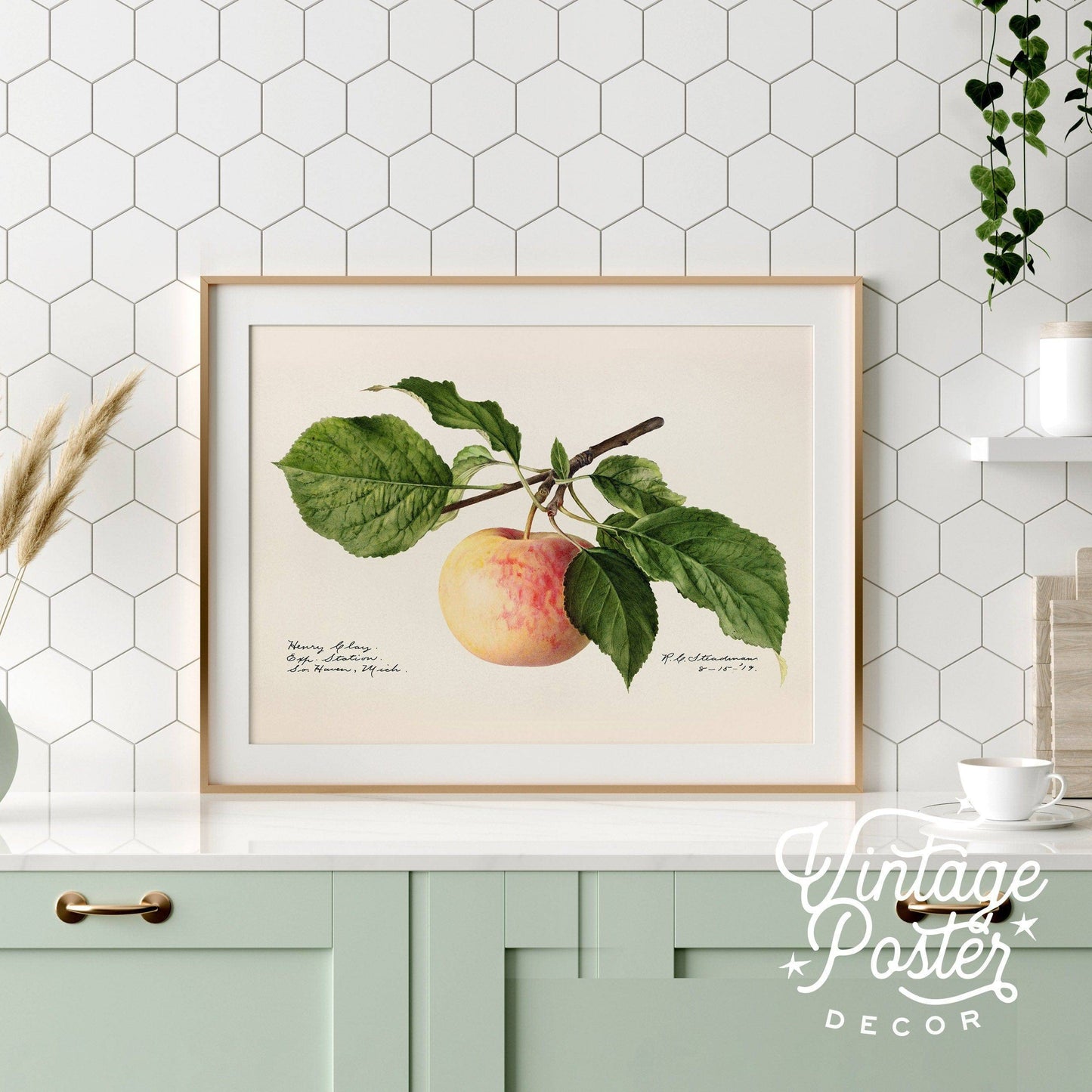 Apple Fruit Print, Vintage Apple Poster, Botanical Fruit, Kitchen Wall Art