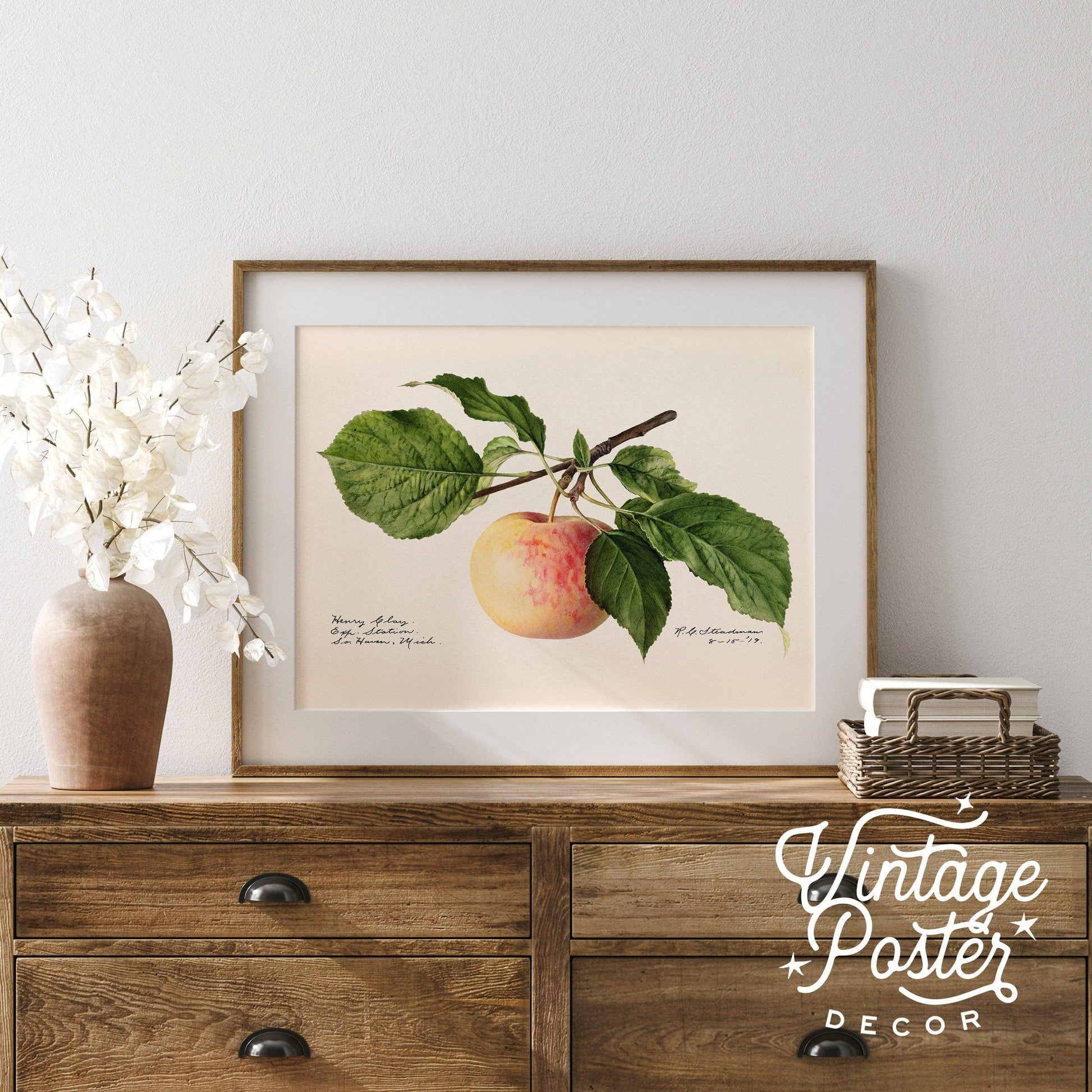 Apple Fruit Print, Vintage Apple Poster, Botanical Fruit, Kitchen Wall Art