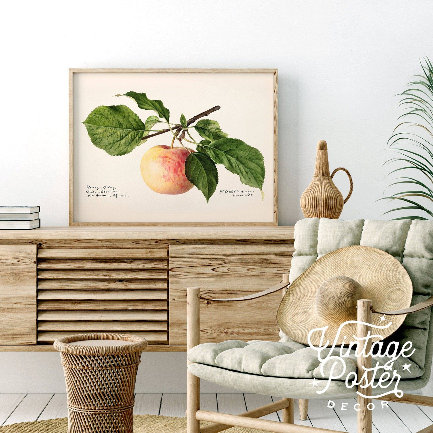 Apple Fruit Print, Vintage Apple Poster, Botanical Fruit, Kitchen Wall Art