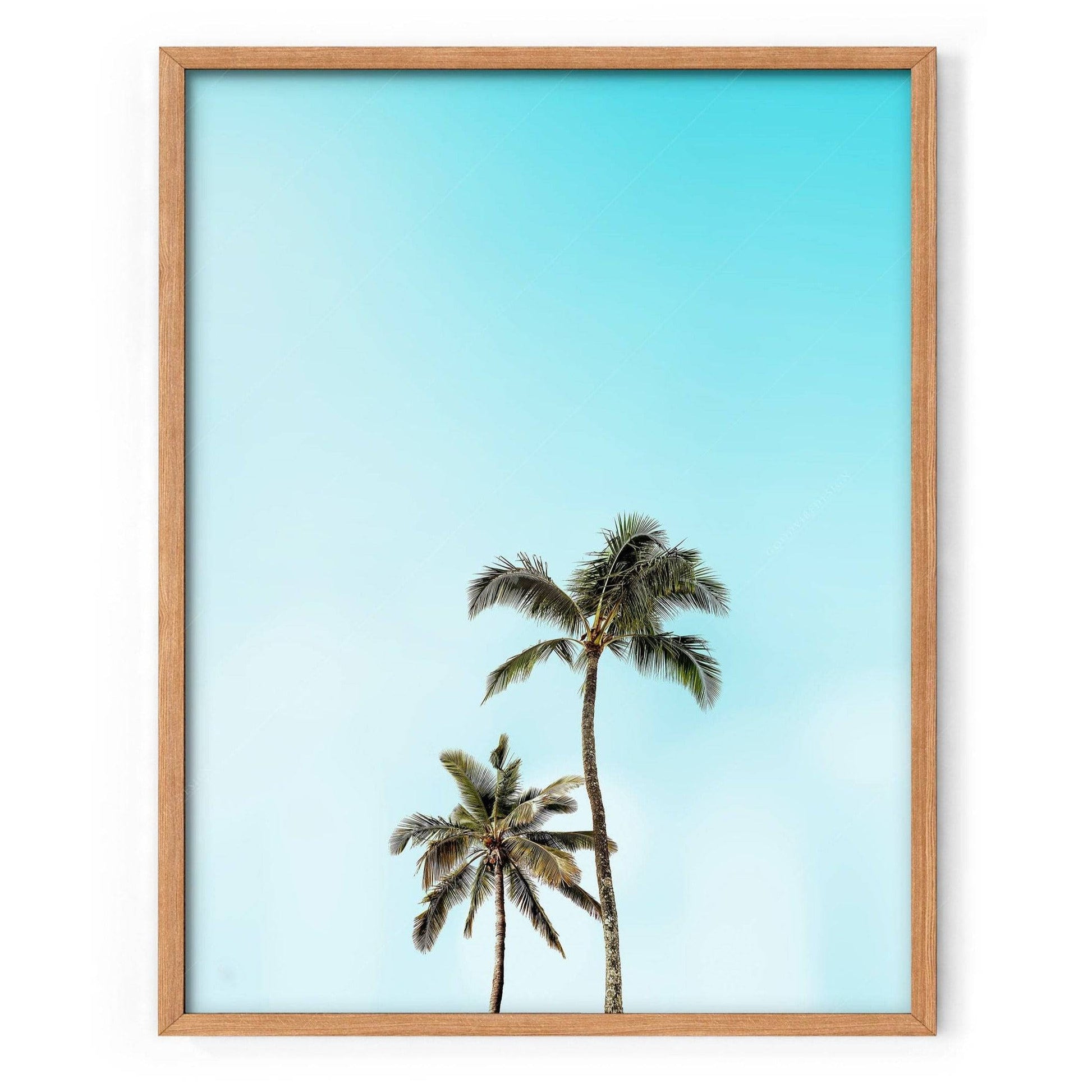 Beach Wall Art, Palm Tree Print