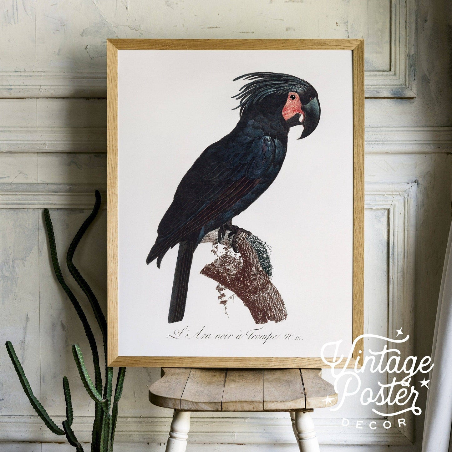 Black Bird Wall Art, Parrot Print, Vintage Bird Poster, Cockatoo Print