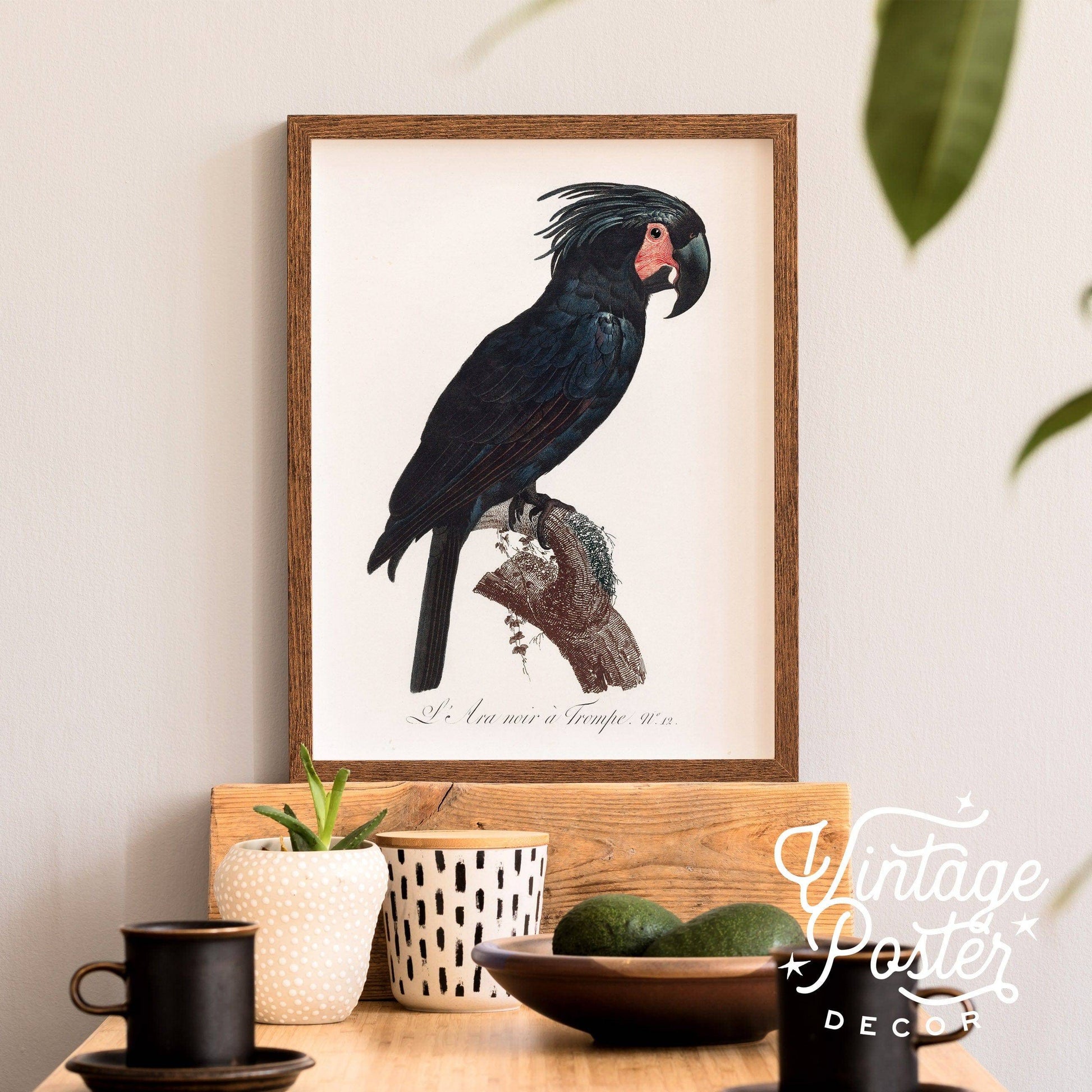 Black Bird Wall Art, Parrot Print, Vintage Bird Poster, Cockatoo Print