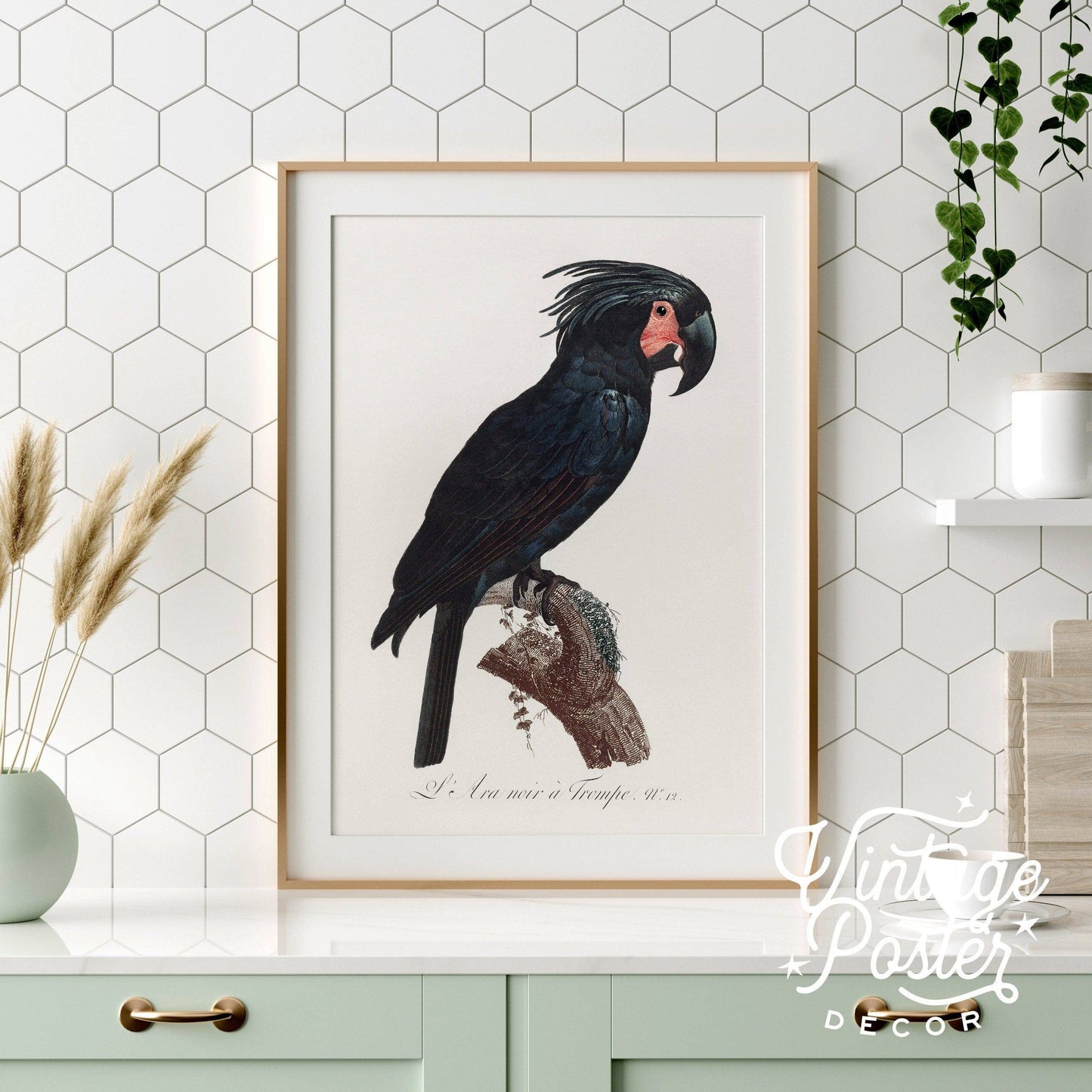 Black Bird Wall Art, Parrot Print, Vintage Bird Poster, Cockatoo Print