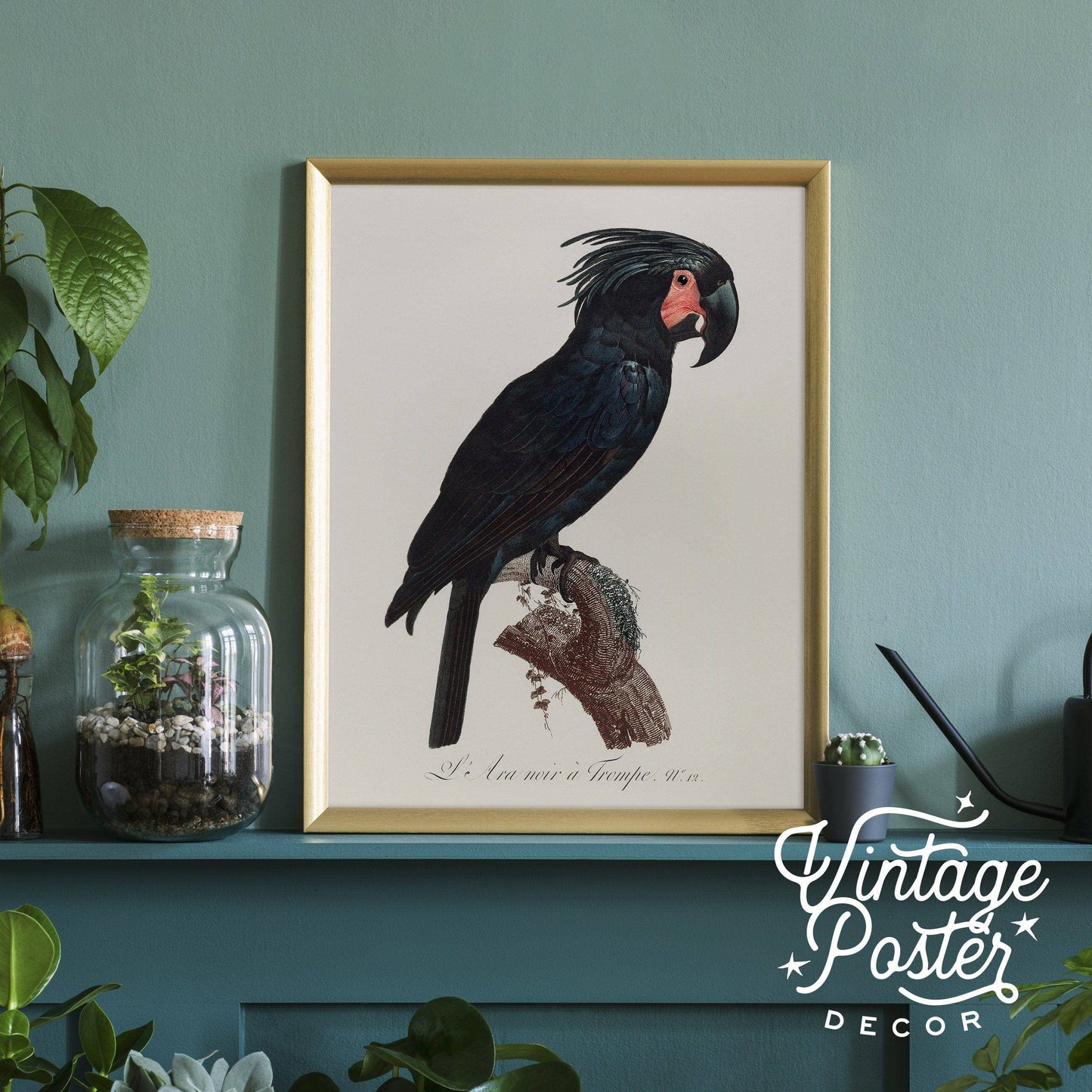 Black Bird Wall Art, Parrot Print, Vintage Bird Poster, Cockatoo Print