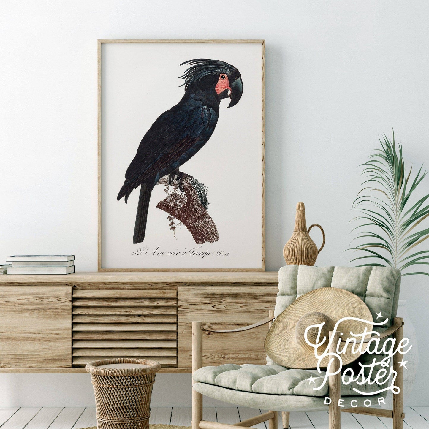 Black Bird Wall Art, Parrot Print, Vintage Bird Poster, Cockatoo Print