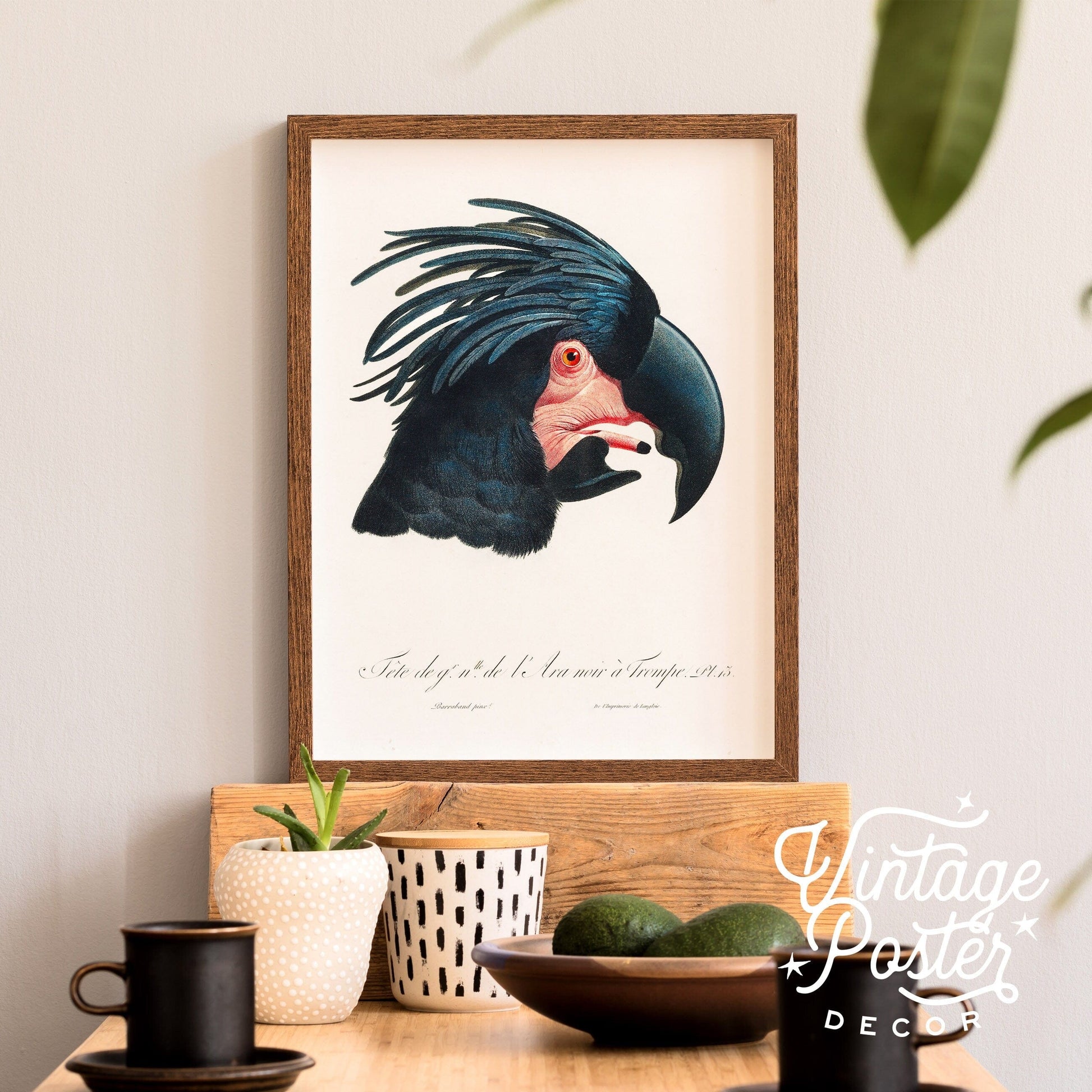 Black Cockatoo Print, Parrot Wall Art, Vintage Bird Poster