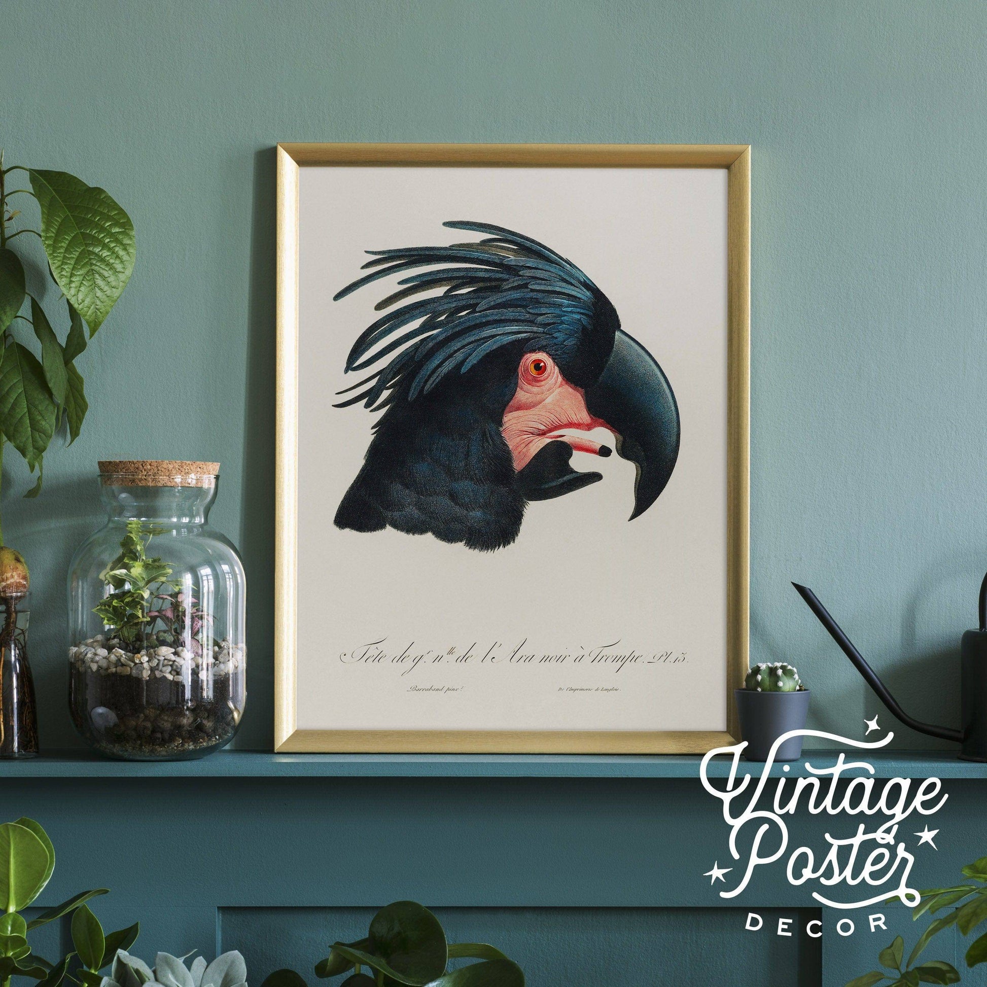 Black Cockatoo Print, Parrot Wall Art, Vintage Bird Poster